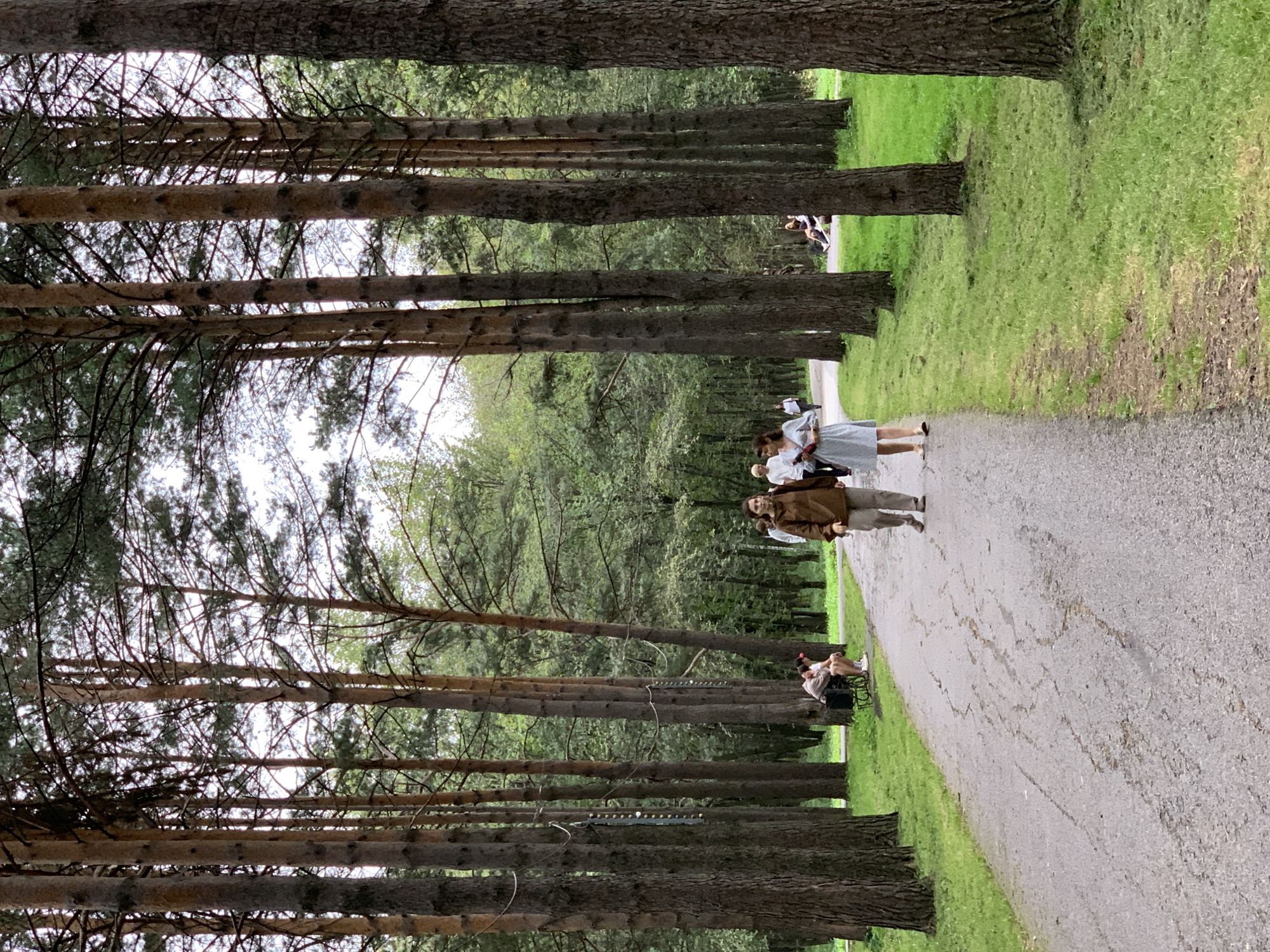The image shows a paved pathway in a park lined with tall pine trees. The pathway is wet, suggesting recent rain. Several people are visible in the scene. In the foreground, a woman in a light blue dress and a man in a brown jacket and pants are walking away from the camera on the pathway. Further down the path, a group of people are seated on a bench. In the middle ground, more people are walking. The park area features green grass and dense foliage. The image appears to be taken in Prokopyevsk, Russia, as indicated by the location context.