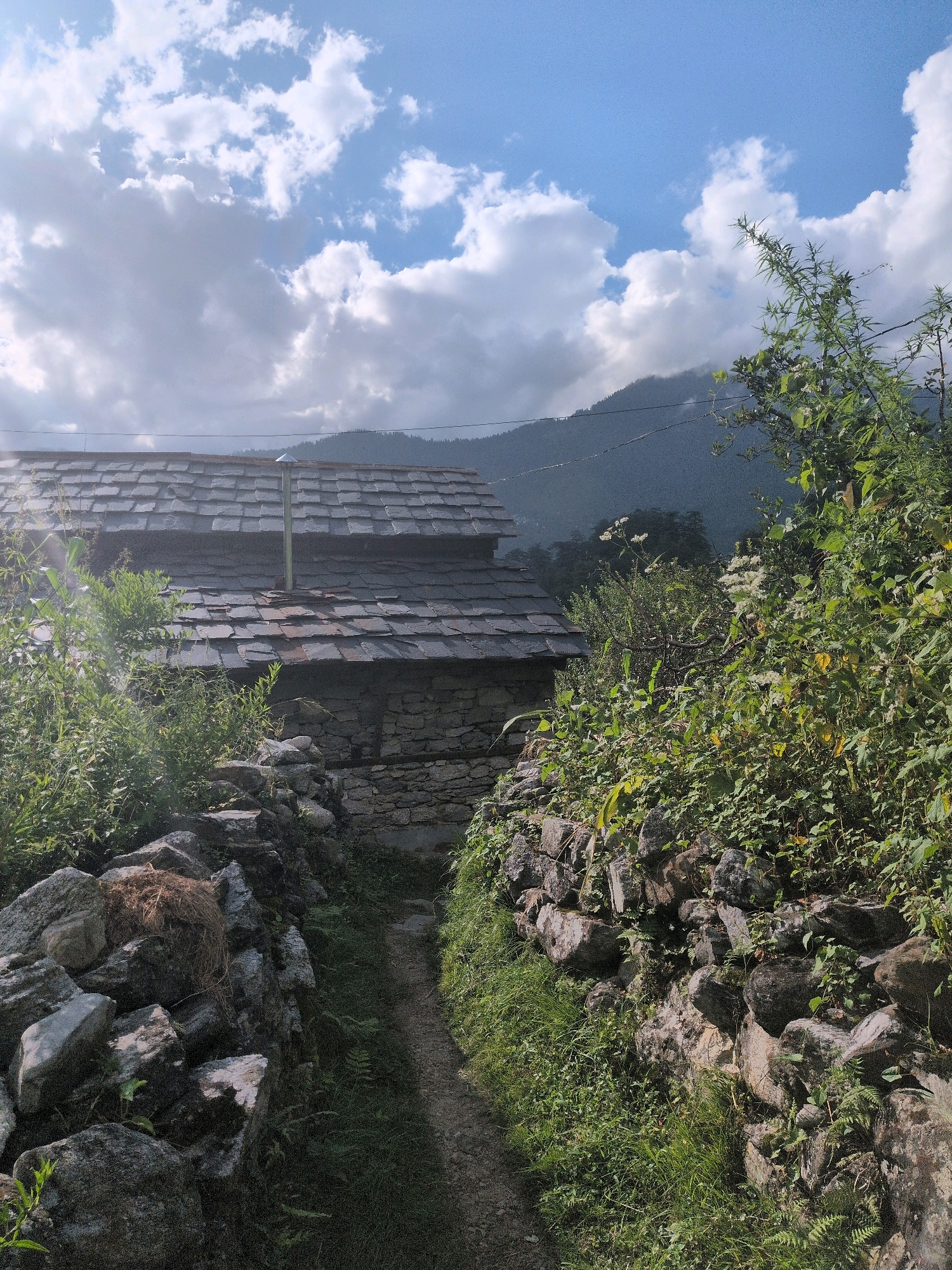 The image depicts a rustic scene with a stone-built structure in Haripur, India. The structure has a slate-tiled roof and a metal chimney protruding from it. It is partially obscured by lush green vegetation. A narrow dirt path runs between two dry stone walls, leading towards the building. The walls are constructed from rough, irregular stones of various sizes, and vegetation grows along their tops and sides. The path is flanked by grass and some scattered rocks on the left. In the background, misty mountains rise under a bright blue sky dotted with white cumulus clouds. The overall impression is of a rural, possibly mountainous, environment with traditional architecture. There are no people or animals visible in the image.