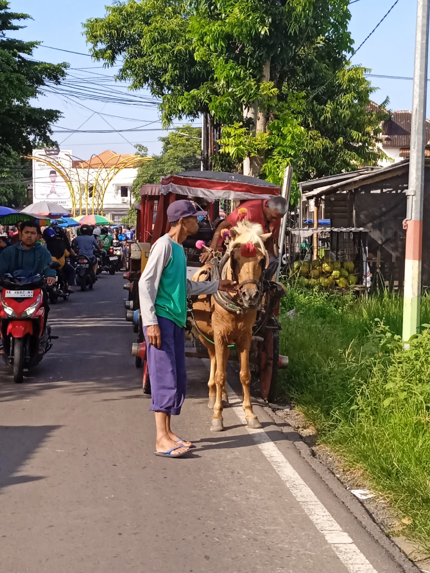 The image captures a street scene in Madiun, Indonesia. The foreground features a horse-drawn carriage positioned along the roadside. A man in a green shirt and purple capris stands next to the horse, appearing to hold its reins. The horse has a light brown coat and wears decorative tassels on its head. The carriage is red with a covered top. Another man sits atop the carriage, apparently driving it.
In the background, there is a busy street scene with motorcycles and pedestrians. A red motorcycle is closest to the viewer, driven by a man wearing a blue shirt. The road is paved and marked with a white line along the edge. To the right of the carriage, there is a wooden structure with a display of green coconuts. Dense green vegetation grows adjacent to the structure. In the distance, there is a decorative archway and other buildings, suggesting a commercial or market area. Power lines are visible overhead. The lighting suggests it is daytime.