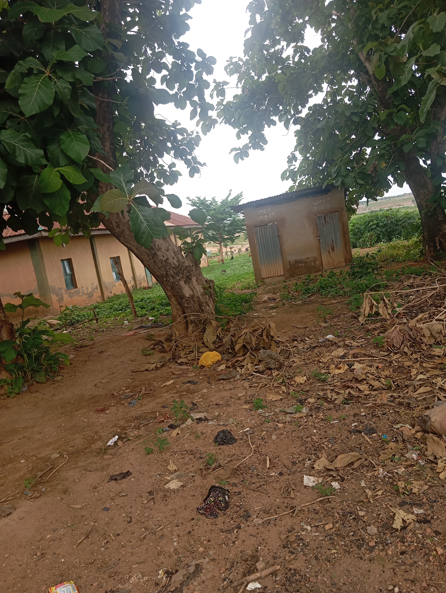 A low-angle, outdoor, full shot depicts a rundown toilet facility with two doors, one labeled "MEN MAZA" and the other "WOMEN MATA," situated in a dusty, littered area. The corrugated metal doors are slightly ajar. The building's exterior is a dull, weathered concrete. To the left, a two-story building with a reddish-orange roof and light brown walls, featuring two small, blue-framed windows, is visible. The ground is covered in dry leaves, dirt, and scattered trash, including plastic bags and wrappers. A large tree with thick, brown bark and lush green leaves dominates the foreground and middle ground, its branches extending across the top of the frame. In the background, a field of green vegetation and more trees is visible, with a hazy sky above. The scene suggests an area in Dutsen Alhaji, Nigeria, likely a public space or community area, characterized by its informal construction and neglected state.