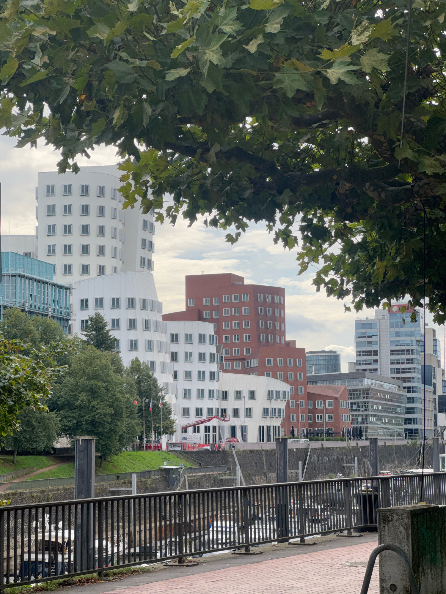 The image shows the Gehry Buildings, also known as the "Neue Zollhof" or "WDR Arkaden," in the MedienHafen district of Dusseldorf, Germany. The buildings are characterized by their fluid, organic shapes, with white and red facades contrasting with the surrounding modern glass and steel architecture. In the foreground, a black metal railing lines a paved walkway adjacent to a body of water where several boats are docked. Lush green trees with large leaves partially obscure the view of the sky and the upper portions of the buildings. The sky is overcast with clouds. Construction equipment, including a crane, is visible near one of the white buildings.