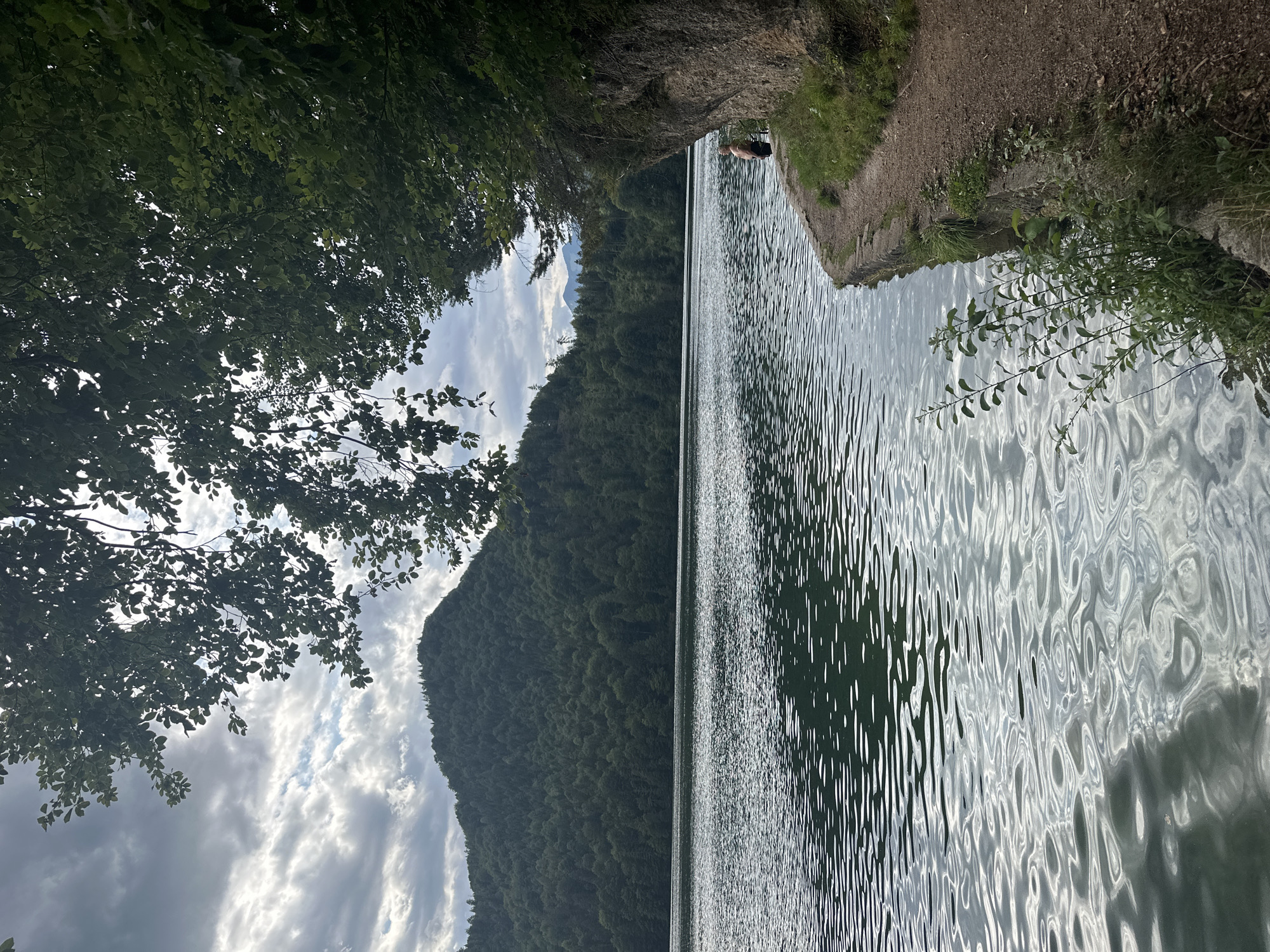The image depicts a serene lake scene with a heavily wooded mountain in the background, under a cloudy sky. In the foreground, the rippling surface of the lake reflects the overcast sky and the surrounding greenery. A narrow dirt path runs along the edge of the lake, bordered by grass and rocks. On the right side of the path, a person is visible, standing near the water's edge, facing away from the camera. The vegetation is lush, with trees forming a canopy overhead and smaller plants growing along the path and near the water. The overall impression is one of a tranquil natural environment. This scene is likely located at the Hintersteiner See, a mountain lake situated in the Kufstein district of Tyrol, Austria, approximately 10 kilometers south of the city of Kufstein.