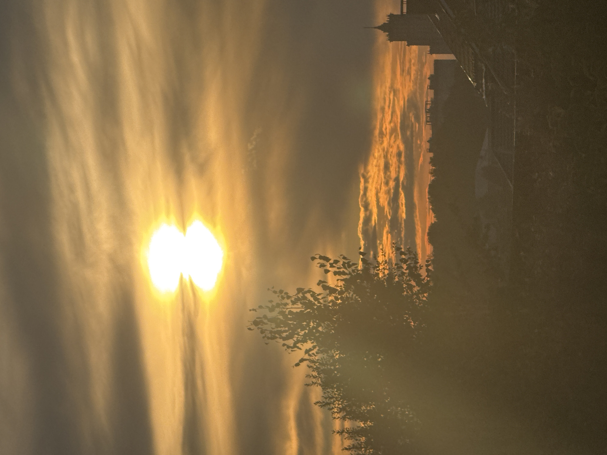 A sunset over Zonalnaya Stantsiya, Russia, is captured in this image. The sun, a bright, blown-out disc, is positioned in the upper center of the frame, partially obscured by wispy, horizontal clouds that are illuminated with orange and yellow hues. In the foreground and mid-ground, silhouetted trees and foliage create a dark, blurred layer. Beyond the trees, the skyline of Zonalnaya Stantsiya is visible, featuring several buildings, including a tall structure with a distinctive spire on the right. The lower portion of the image is dominated by the dark silhouettes of rooftops and dense vegetation. The overall atmosphere is warm and hazy, characteristic of a sunset.