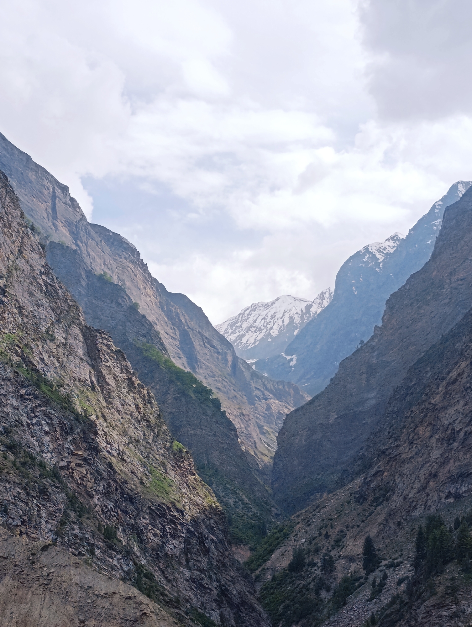 This is a vertical, medium-shot photograph of a mountainous gorge in Kirting, India. The scene is dominated by steep, rocky mountainsides on either side of a deep valley that recedes into the distance. The sky above is partly cloudy, with white clouds scattered across a pale blue sky.
In the foreground and to the left, a rugged, textured mountain face rises steeply, displaying layers of rock in shades of brown, gray, and hints of green vegetation. The sunlight casts shadows, highlighting the crags and crevices. To the right, another imposing mountain face is visible, darker and more shadowed, with a rough, uneven surface.
Further into the distance, the gorge narrows, revealing more peaks. The farthest visible mountains are capped with snow, indicating a higher altitude. These distant peaks are a muted blue-gray, softened by atmospheric perspective. Sparse green vegetation, appearing as small patches and isolated trees, can be seen clinging to the lower slopes and the valley floor in places. The overall impression is one of a vast, rugged, and dramatic natural landscape. There are no people or animals visible in the image.