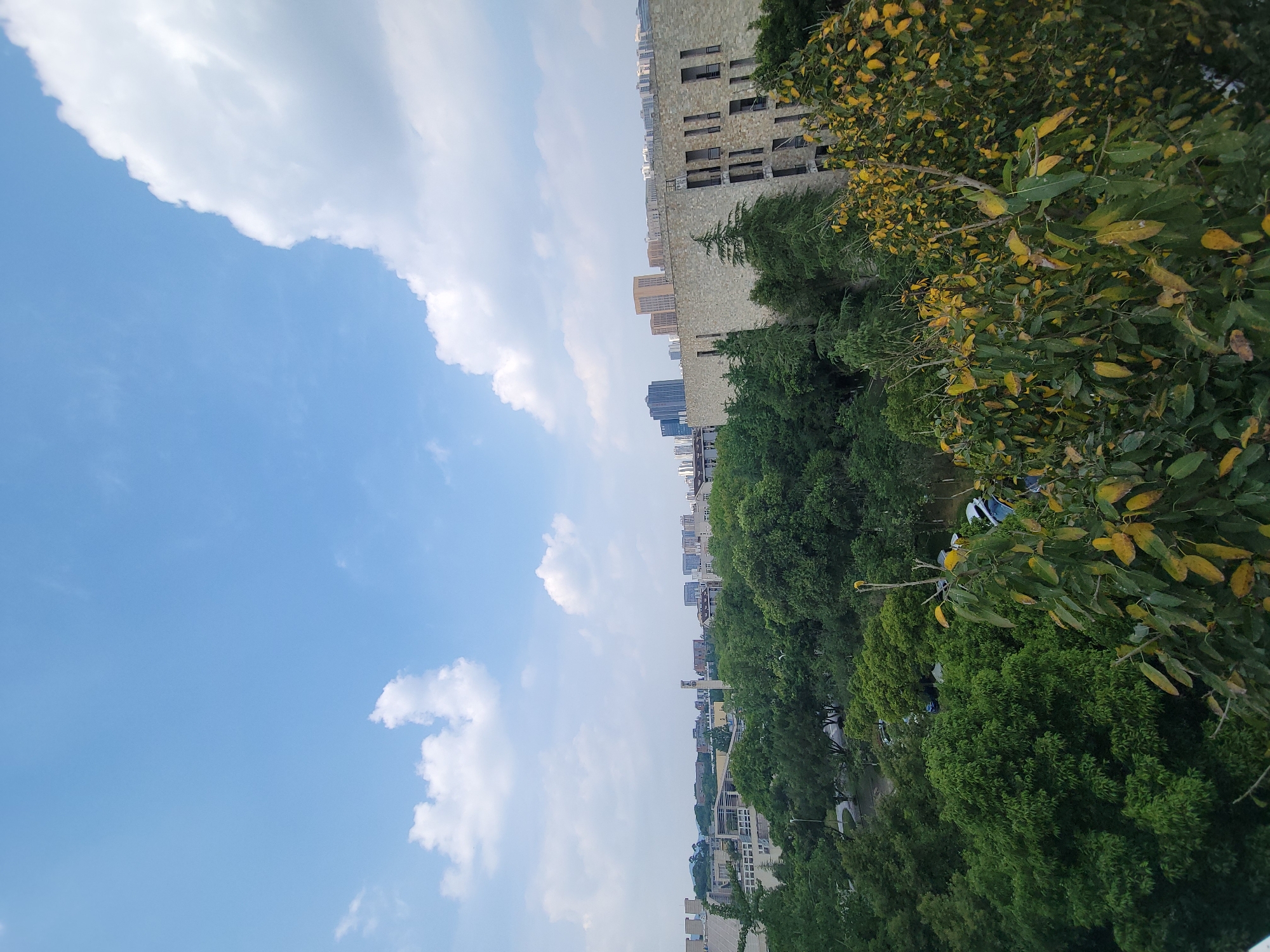 The image shows a view of the Chongqing High-tech Zone in China. The scene is divided with the left side filled with a bright blue sky with scattered white clouds. The right side shows a built environment with a mix of vegetation and buildings. The structures range from low-rise to high-rise, and the greenery suggests the presence of urban parks or tree-lined streets. A closer building shows an incomplete construction. The overall image suggests a dynamic urban landscape where nature and architecture coexist.