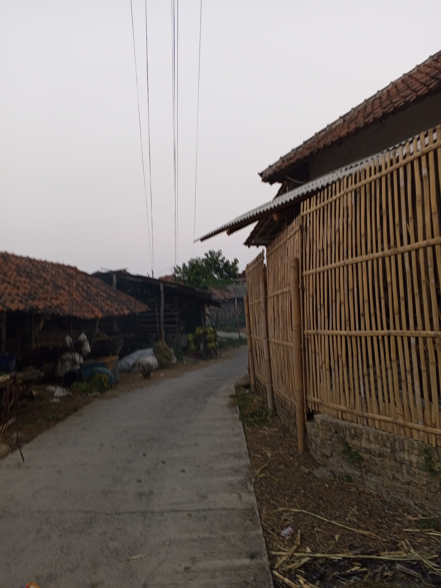 The image shows a narrow, paved road winding through a rural area, possibly in Gebang, Indonesia. On the right side of the road, a tall, rustic fence made of vertical bamboo poles extends into the distance, bordering a property with a tiled roof and a corrugated metal awning. To the left of the road, there are structures with tiled roofs, appearing to be sheds or simple dwellings, with some items stored outside, including what looks like sacks and possibly some vegetation. The sky is overcast and a light gray, suggesting it's early morning or late afternoon. Several thin, dark wires, likely utility lines, are visible against the sky, running diagonally from the upper left to the upper right of the frame. The ground beside the road is covered with dry leaves, straw, and some sparse vegetation. The overall scene depicts a humble, possibly agricultural setting with basic infrastructure.