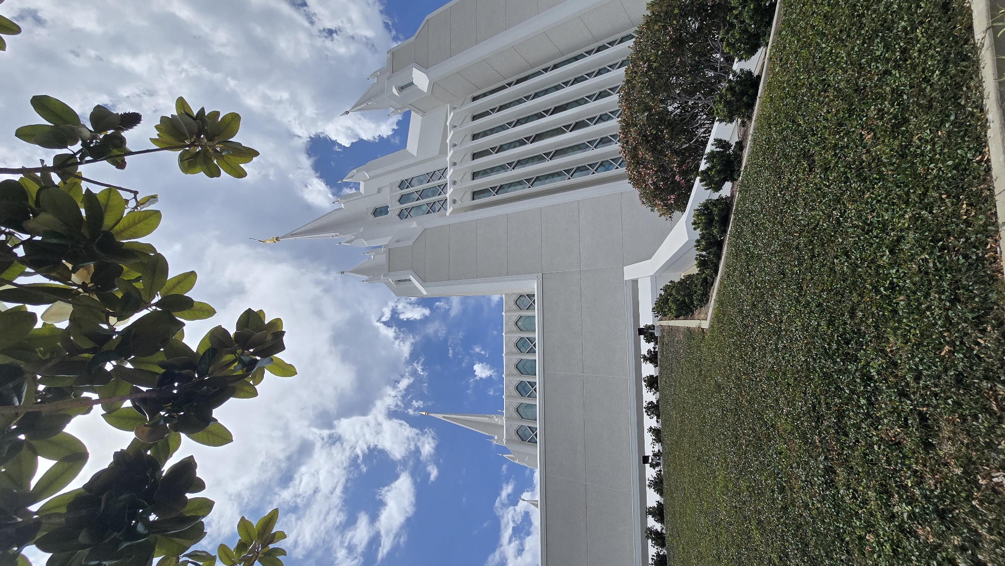 The image depicts the San Diego California Temple of The Church of Jesus Christ of Latter-day Saints. The architectural style is characterized by its white, imposing structure with multiple spires and intricate geometric window designs. The building is set against a vibrant blue sky dotted with fluffy white clouds, suggesting a pleasant day.
In the foreground, the lush green foliage of a tree with large, glossy leaves partially frames the view of the temple. The tree's branches reach upwards towards the sky, creating a natural contrast with the man-made architecture. To the right of the temple, a meticulously manicured hedge runs along the side of the building, adding to the well-maintained appearance of the grounds.
The time of day appears to be daytime, likely late morning or early afternoon, given the brightness of the sunlight and the clear sky. The overall mood conveyed by the image is one of serenity and grandeur. The location is clearly identifiable as the San Diego California Temple due to its distinctive design, a landmark in the area. No people are visible in the image, focusing the viewer's attention solely on the building and its natural surroundings. There is no visible text in the image.