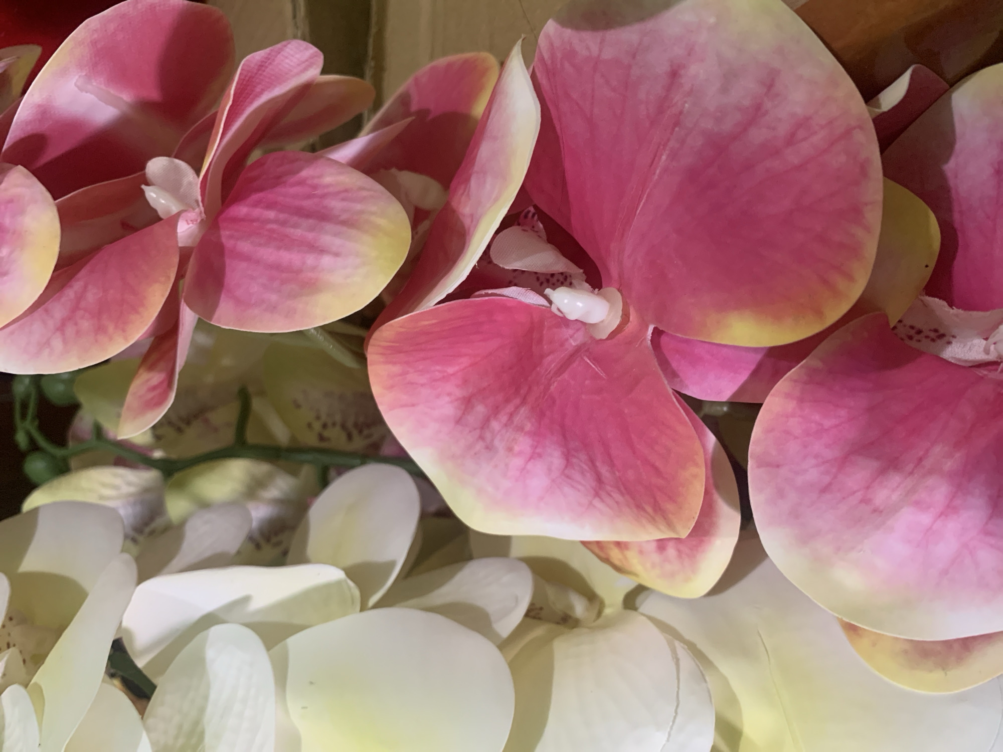 The image displays a close-up, top-down view of several artificial orchid flowers. The flowers are a mix of white and pink, with some pink petals showing a gradient of color towards yellow at the edges. The petals are large and have a smooth, waxy texture. The center of some of the pink orchids features a white stamen with dark speckles. The flowers are arranged in a dense cluster, with some petals overlapping. The background is softly blurred and appears to be a warm, wooden surface. There is no visible indication of the city of Kuala Pembuang, Indonesia, or any specific environmental context that would place it there. The image is purely a still life of artificial flowers.