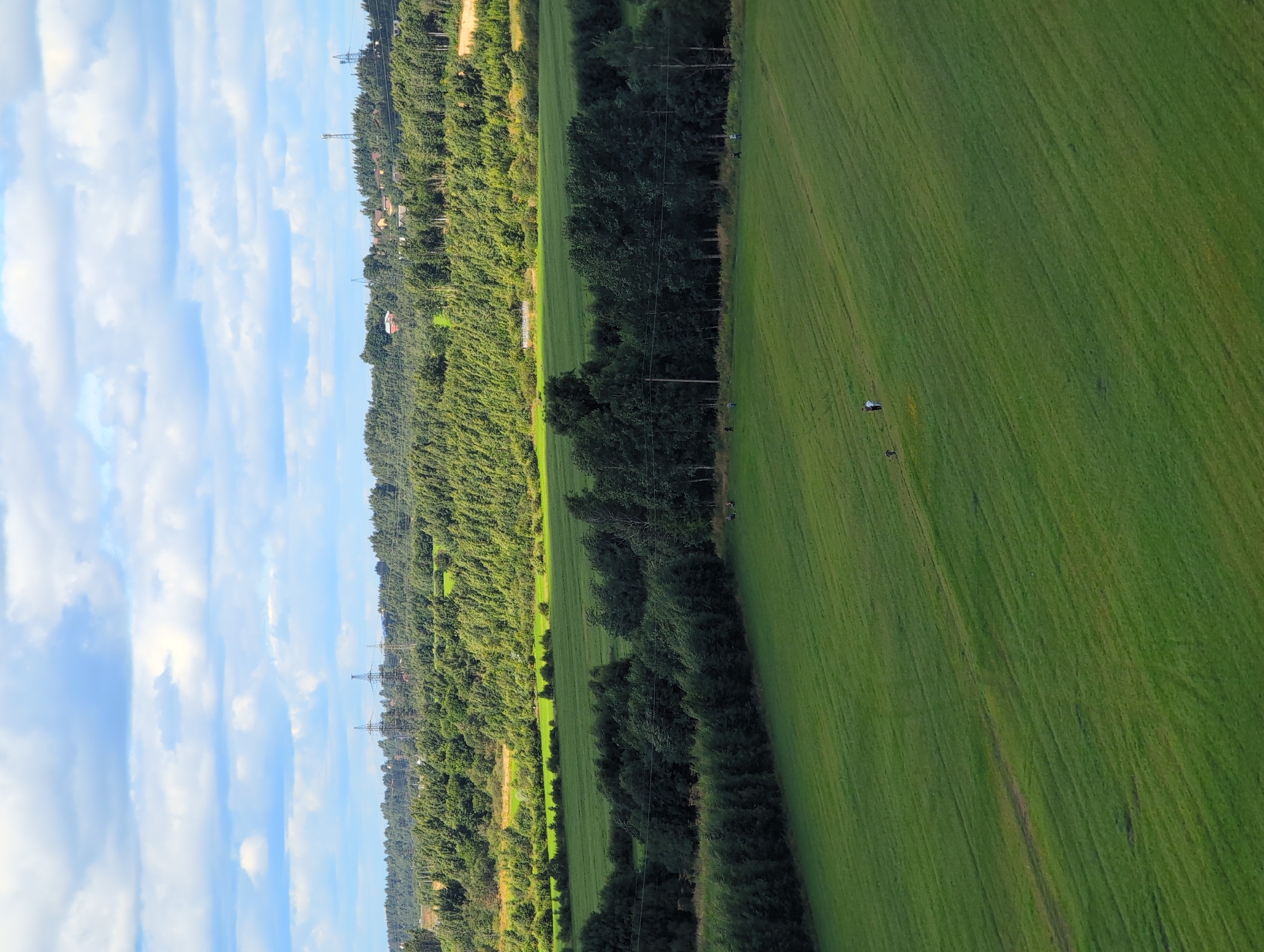 This is a high-angle, long shot of a rural landscape near Bugry, Russia, under a cloudy sky. The foreground features a vast, green mowed field with visible rows from mowing equipment. In the middle ground, a line of dark green trees separates the mowed field from another wooded area. Further back, a band of dense, mixed deciduous and coniferous trees stretches across the horizon, with some scattered buildings and power lines visible behind them. The sky is filled with white and gray clouds, with patches of blue peeking through. There are several small groups of people scattered across the mowed field, appearing to be walking.
