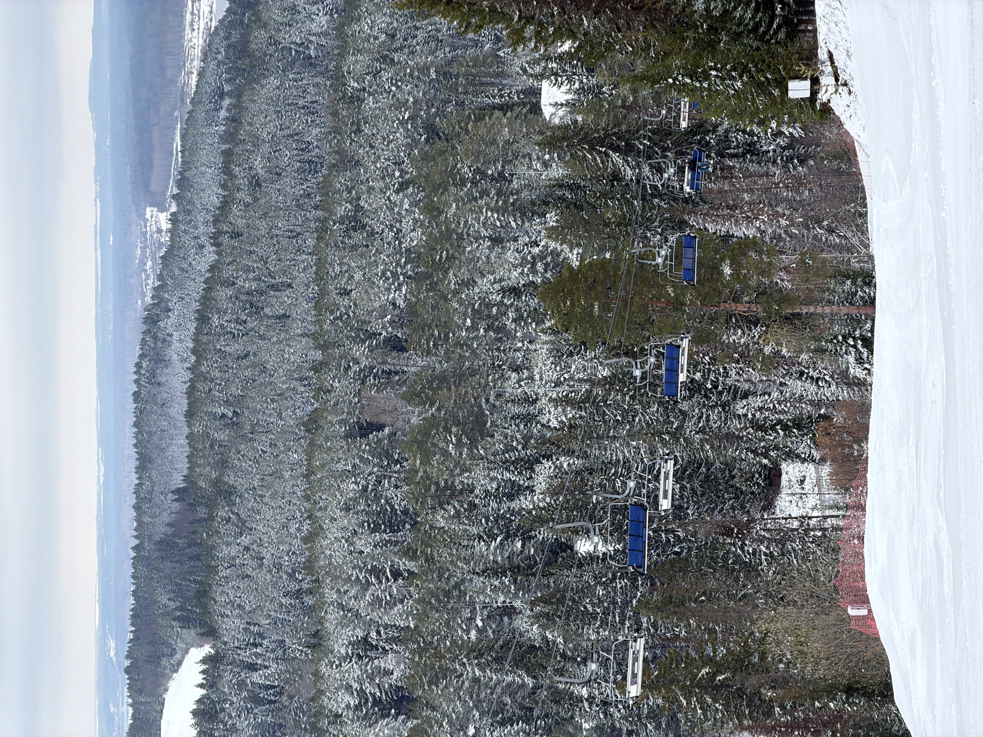 The image shows a view from a ski resort in Нечкино, Russia. Snow-covered trees cover the landscape, with a ski lift running through them. A groomed ski slope is visible on the right side of the frame. The sky is overcast and pale.