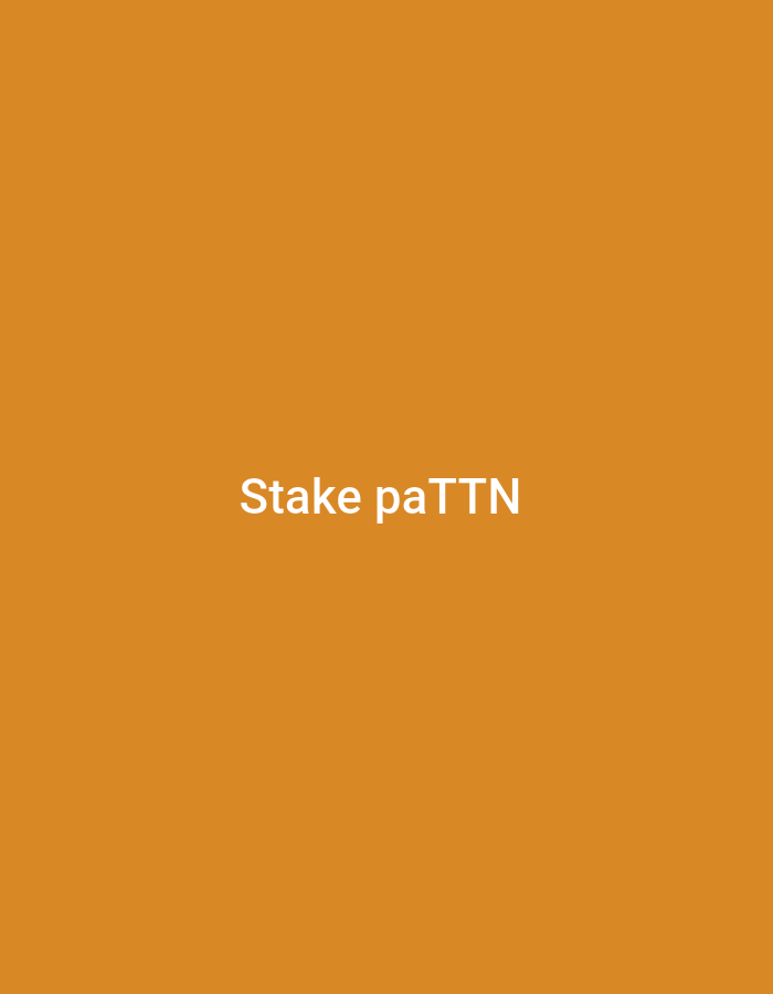 The image displays white text, "Stake paTTN," centered on a solid orange background. There are no other subjects, objects, or environmental details present. The image provides no visual information to determine a geographical location, including the city of Television, Nigeria, or any other specific place.