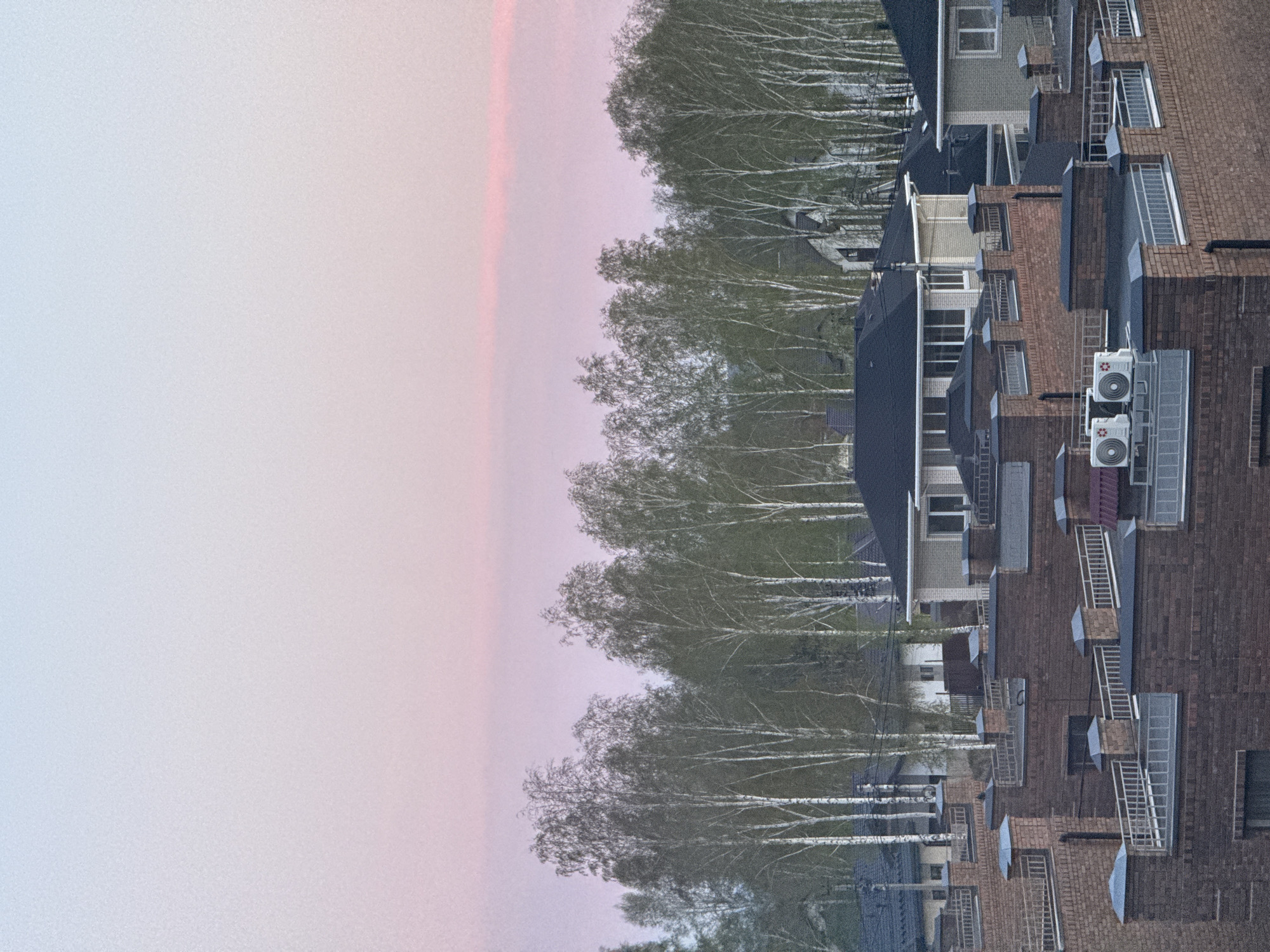 An elevated view of Новая Разводная, Russia. A row of birch trees stands between a residential area and a pale, gradient sky. Buildings with dark roofs, brick facades, and external staircases dominate the right side of the image. Air conditioning units are visible on one building.