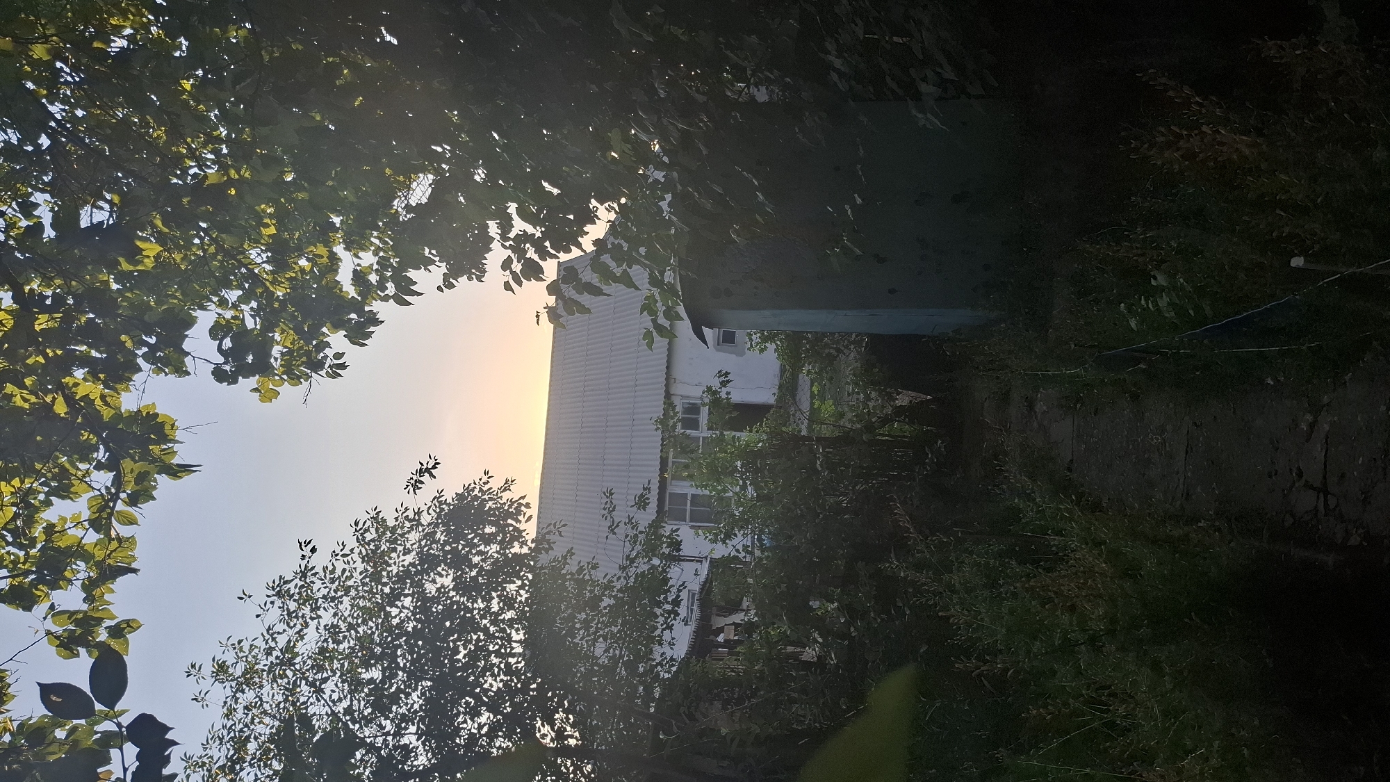 A sunlit rural yard is captured, with a path leading towards a white, single-story building with a corrugated roof. The building has several windows, and some appear to be boarded up. To the right of the path, a dark green outbuilding or shed is visible. Dense green foliage from trees and bushes frames the scene, with sunlight filtering through the leaves, creating dappled shadows. The sky above is a soft blue with a hint of orange near the horizon, indicating either sunrise or sunset. The ground is covered with grass, weeds, and a dirt path. The overall impression is one of a quiet, overgrown residential area in Шұбарсу, Kazakhstan.