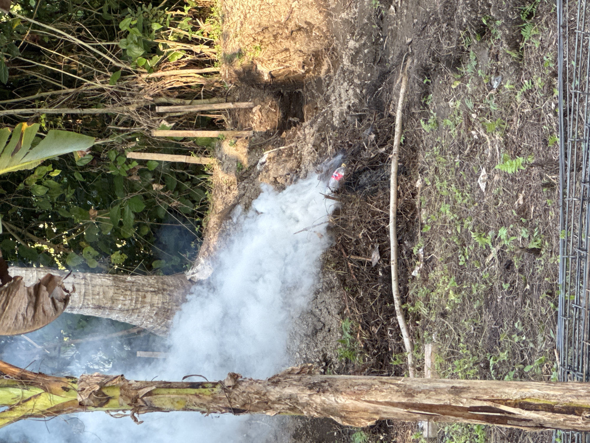 In Blahbatuh, Indonesia, a scene unfolds with a banana tree trunk dominating the left foreground. White smoke billows from a pile of burning debris in the mid-ground, where a red and white plastic bottle is visible. Behind the smoke, a weathered palm tree stands, and further back, a dense thicket of greenery and dry branches creates a natural backdrop. Several wooden stakes are planted in the earth, suggesting ongoing construction or land modification. The ground is a mixture of soil, dried leaves, and scattered small plants. In the lower right foreground, a mesh of metal reinforcement bars is laid out, indicating potential construction work. The lighting suggests it is daytime, with shadows cast by the vegetation.