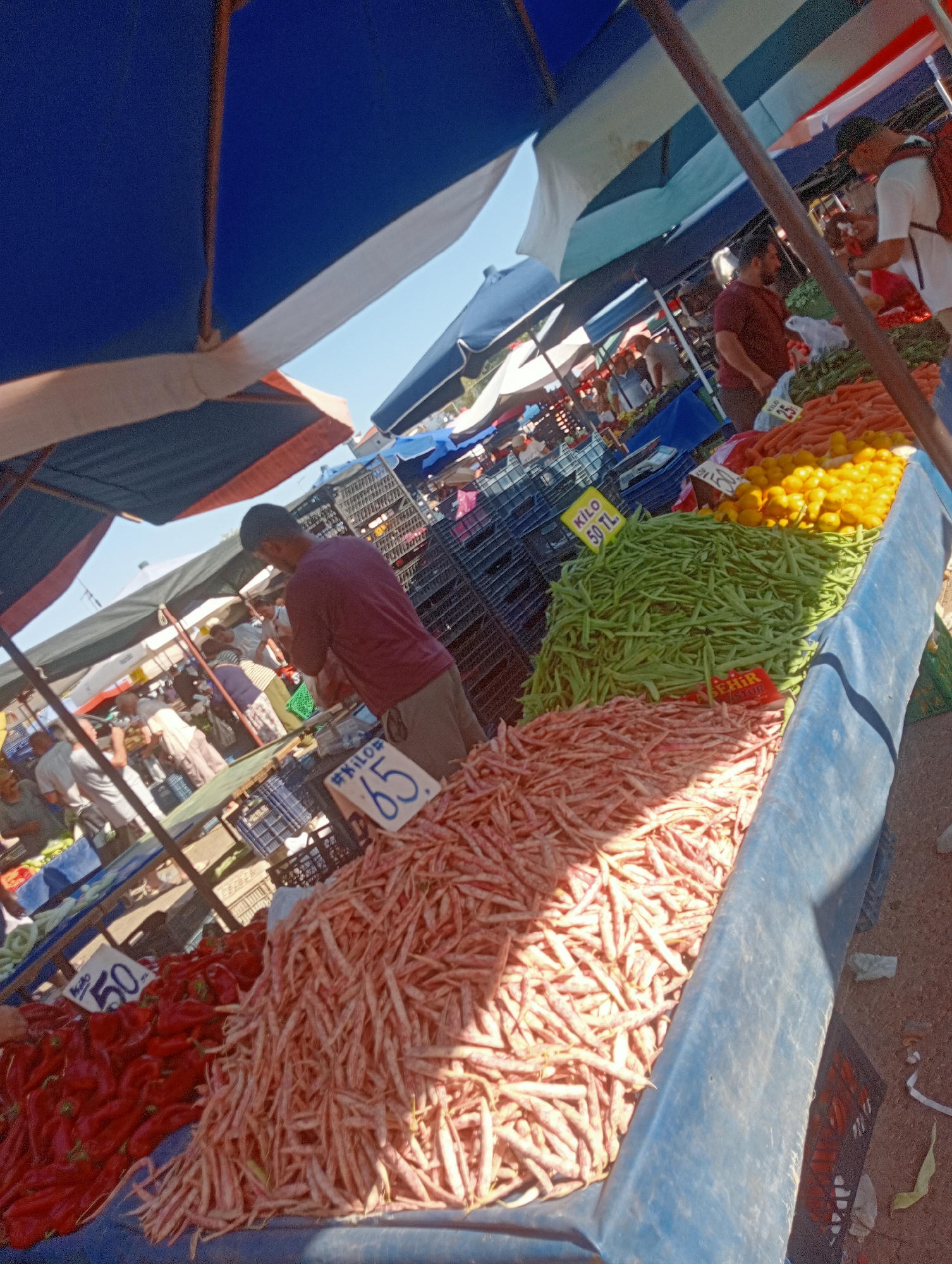 The image depicts an outdoor market scene, likely in Antalya, Turkey, with stalls covered by colorful awnings. The foreground is dominated by a large pile of fresh, pale pink beans. To the left, there are bright red peppers, and further back, a display of yellow citrus fruits, followed by a heap of green beans. A sign with blue lettering reads "#KILO 65" and another sign in yellow states "KILO 50 TL".
Several individuals are visible in the background. A man in a dark red shirt and light brown pants stands behind a produce stall, appearing to be arranging or selling the vegetables. Another man in a white t-shirt and a backpack is engaged in a transaction at a neighboring stall. Other shoppers and vendors are partially visible further down the market aisle, suggesting a bustling commercial environment. The ground is rough and dusty, indicative of an outdoor market setting. The sunlight casts distinct shadows, highlighting the textures and volumes of the produce.