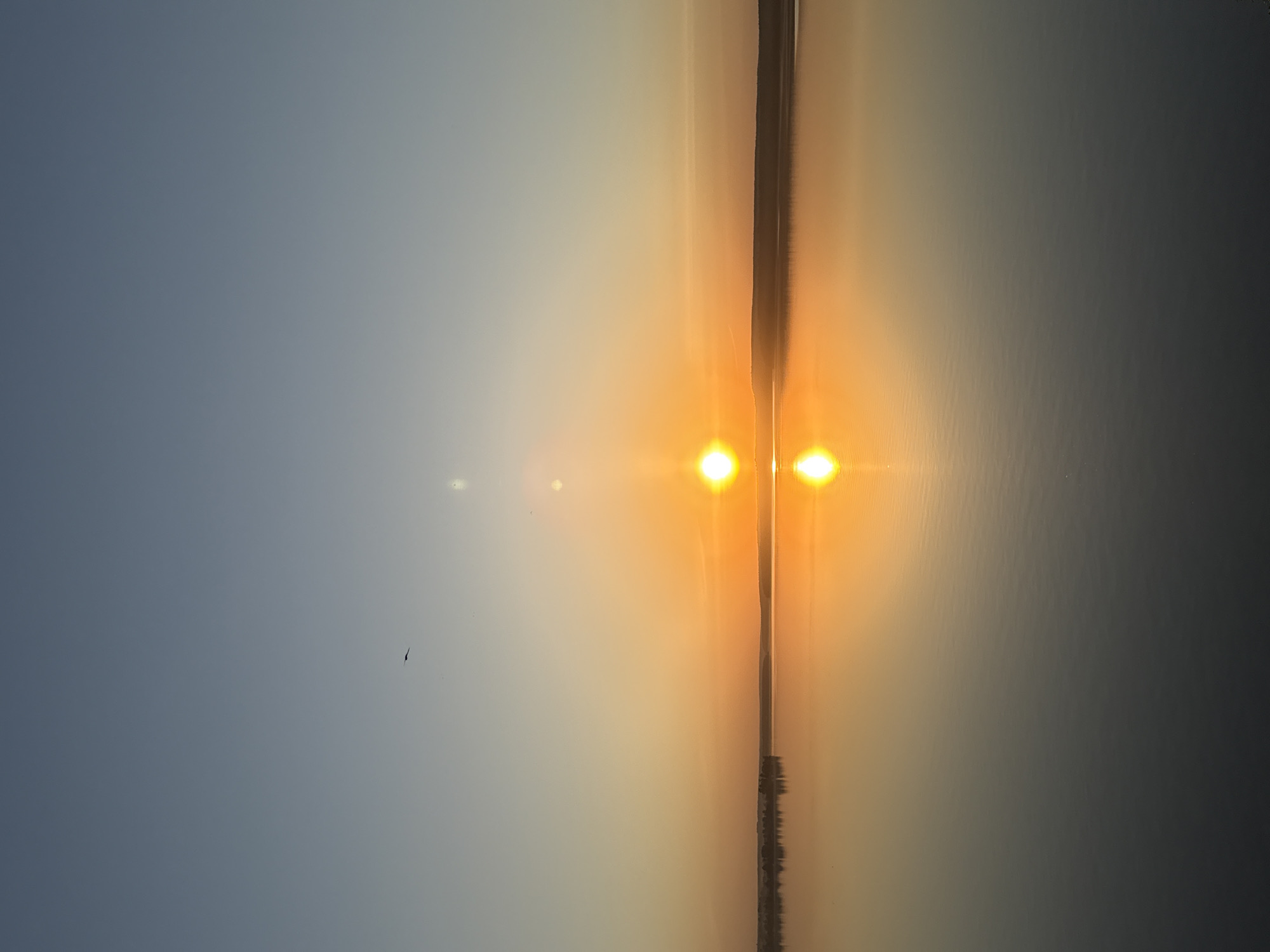 The image depicts a sunset over water. The sun's reflection creates a bright, vertical line of light bisecting the image. The sky transitions from a pale blue on the left to a warm orange and yellow near the horizon. A small bird is visible in the sky on the left side of the image. A thin, dark line suggestive of a shoreline or distant landmass is seen where the water meets the sky. The light is very bright, causing lens flare artifacts. The scene is likely near Votkinsk, Russia, given the prompt.