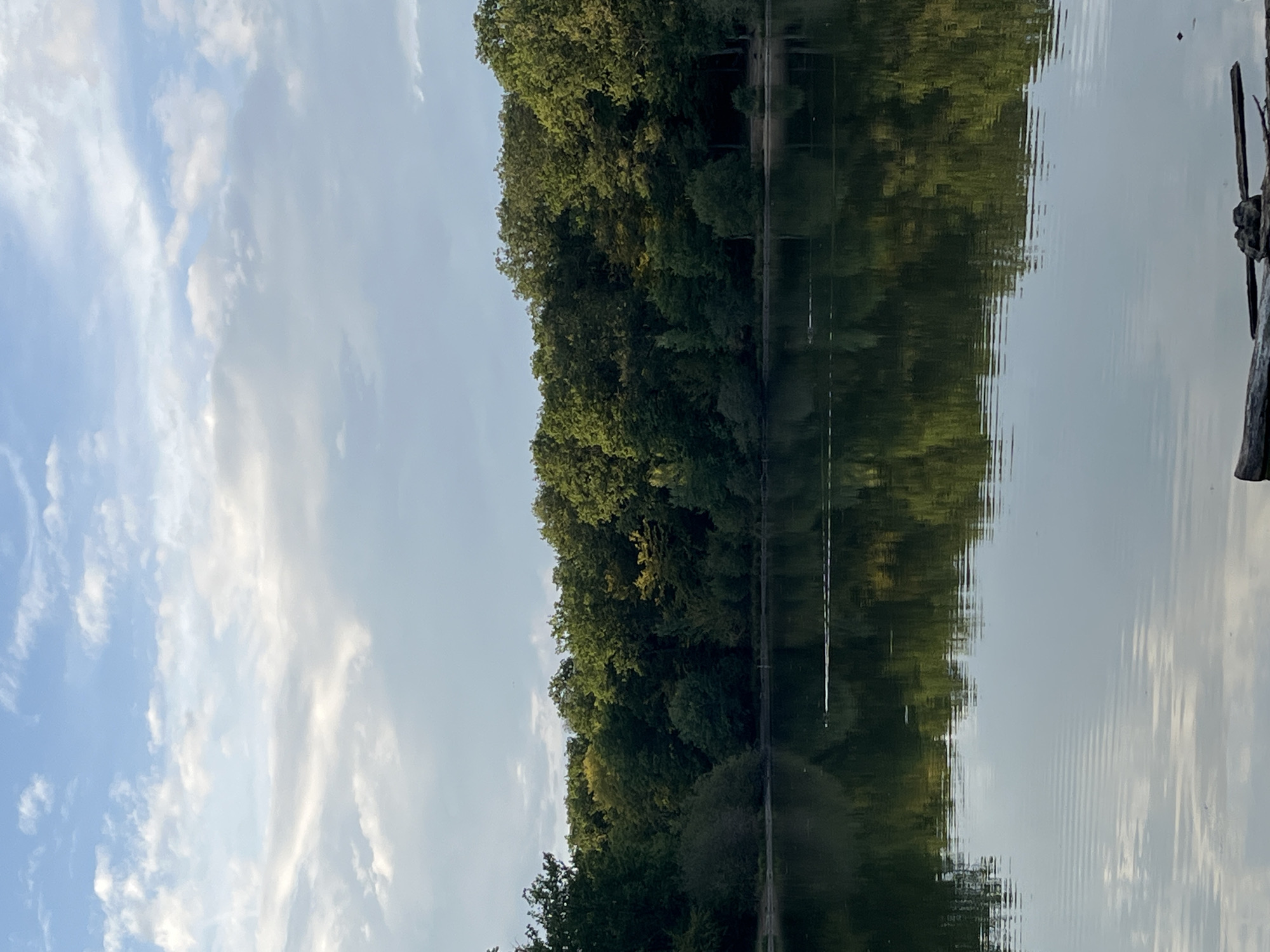 The image depicts a serene lake at dusk in Sonchamp, France. The calm surface of the water perfectly mirrors the lush green trees that line the opposite bank, creating a symmetrical and tranquil scene. The sky above is a soft blue, dotted with wispy white clouds that are beginning to glow with the warm hues of sunset. A few pieces of driftwood are visible at the bottom of the frame, hinting at the natural, undisturbed state of the environment. The overall atmosphere is one of peaceful solitude and natural beauty.