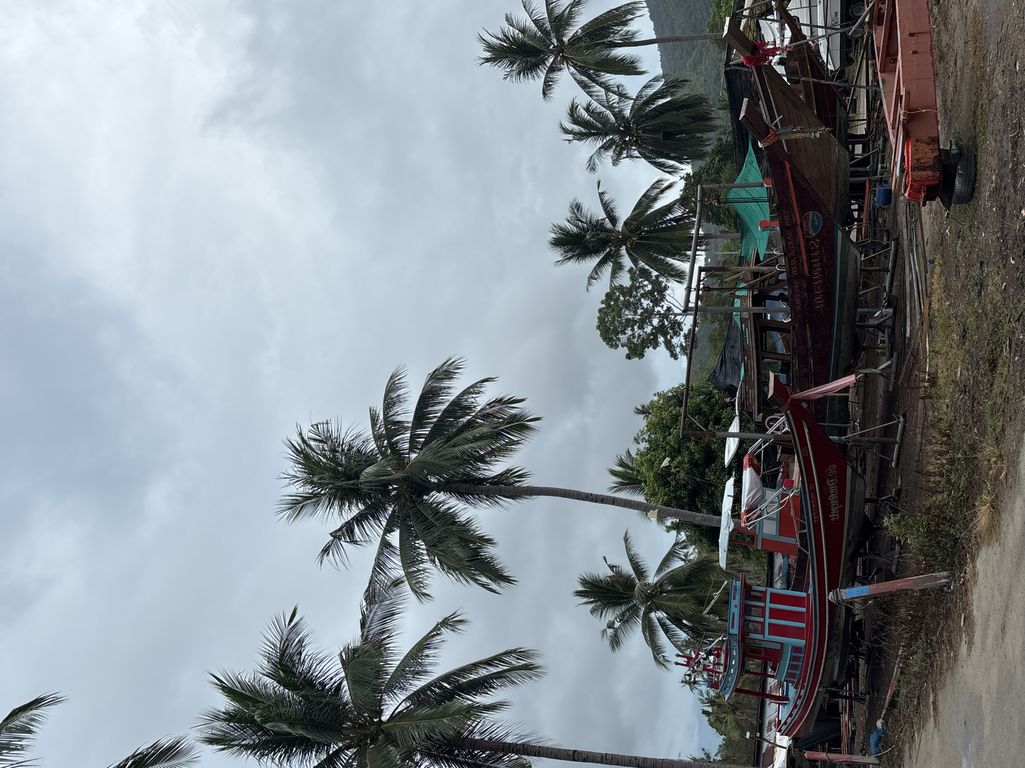 The image shows a view in Ban Bang Khao, Thailand, with a cloudy sky. Several palm trees dominate the left and top portions of the frame. On the right side, numerous boats, mostly in red and brown hues, are visibly propped up on stands, likely for repair or storage. Vegetation, including trees, is visible behind the boats. The ground area surrounding the boats appears unpaved.