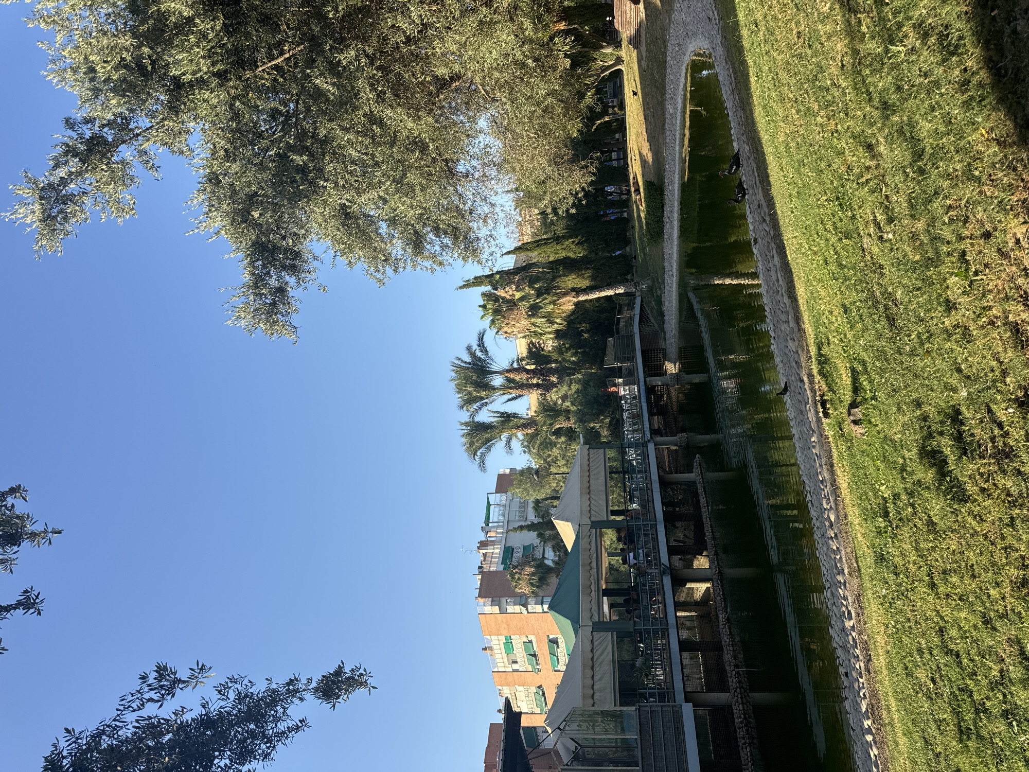 This image depicts a serene park scene in the city of Murcia, Spain, likely the garden area surrounding the Malecón. A calm body of water, reflecting the clear blue sky and surrounding greenery, occupies the foreground. Ducks are visible on the edge of the water. A manicured lawn slopes gently towards the water's edge. Across the water, a covered walkway or dining area with white and green awnings is situated, with several patrons seated beneath. Beyond this, a multi-story residential building with orange brickwork and green shutters is visible, interspersed with various trees including palm trees and cypress trees. Large, leafy trees, characteristic of the Mediterranean climate, frame the upper right portion of the image. The lighting suggests it is late afternoon, with the sun casting long shadows.