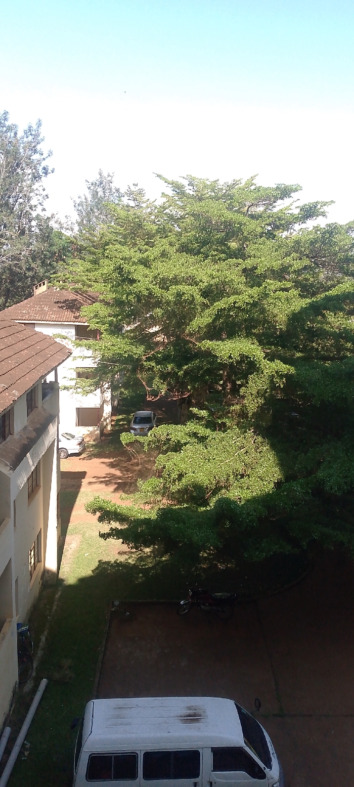 An aerial view showcases a mix of buildings and nature. Two multi-story buildings with reddish-brown roofs sit adjacent to each other. A dense, large tree with vibrant green foliage dominates the scene. Several parked vehicles, including a white van, are visible in the space between the buildings. A motorcycle rests on a paved area, and greenery fills the gaps between structures. The sky is light blue, suggesting a sunny day.