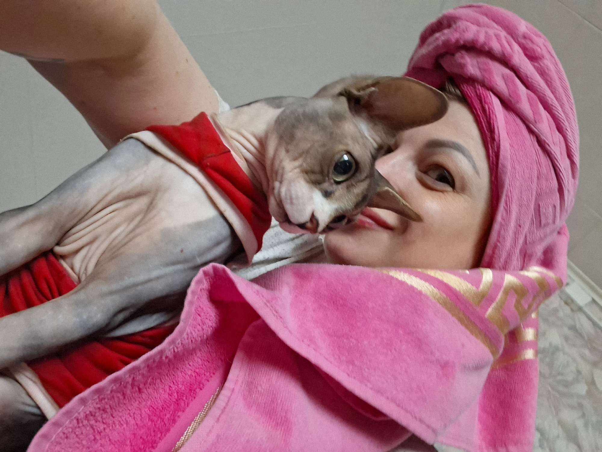 A woman with a pink towel wrapped around her head is holding a Sphynx cat wearing a red garment. The cat is grey with white markings. The woman is smiling and looking at the cat. The background appears to be an indoor setting, possibly a home. The location is identified as Забалоцкі сельскі Савет, Belarus.