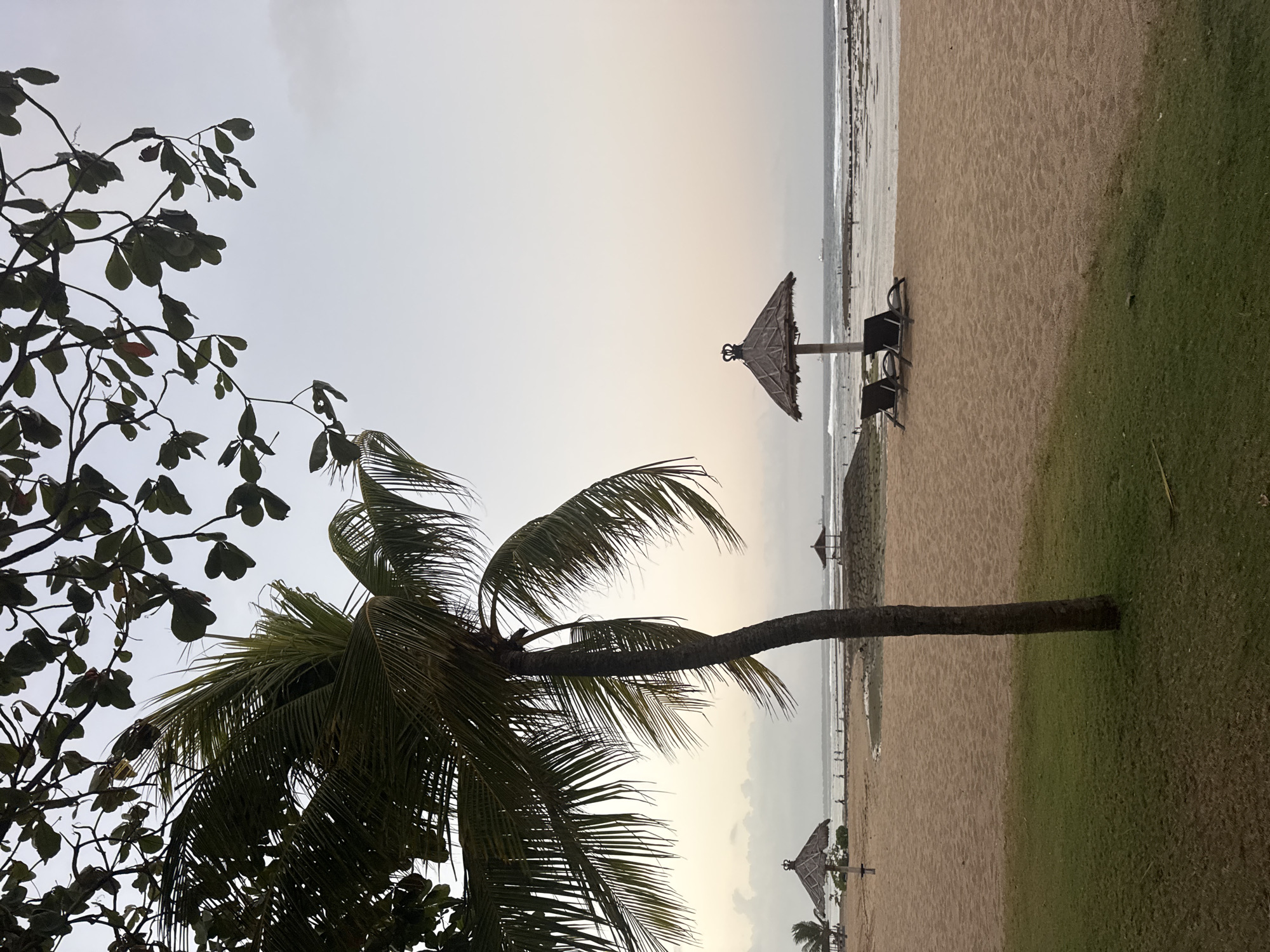 The image depicts a beach scene in Kuta Selatan, Indonesia, during overcast weather, likely late afternoon or early evening. In the foreground, a palm tree trunk stands prominently on the left, with its fronds extending across the upper left quadrant of the frame. To the right of the palm tree, a stretch of sandy beach is visible, transitioning into green grass at the bottom left. Further back on the beach, two empty lounge chairs are placed under a thatched umbrella. In the mid-ground, the ocean stretches towards the horizon, with gentle waves breaking on a rocky shore. Several small figures can be seen walking along the water's edge. In the distance, another thatched umbrella structure is visible, and a ship is present on the horizon. The sky is a pale, washed-out gray, with hints of pink and yellow at the horizon suggesting the setting sun. The overall atmosphere is calm and serene.