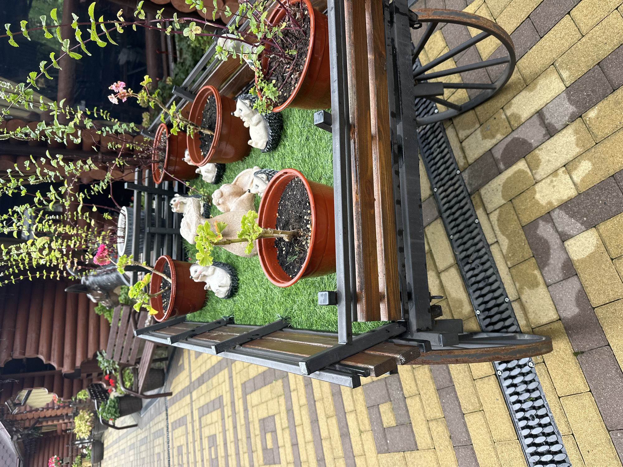 An outdoor scene depicts a decorative wagon filled with potted plants and garden figurines. The wagon has wooden planks and a metal frame, with a large wheel visible on the right side. The plants are in terra cotta pots, and some appear to be flowering. Several small ceramic hedgehog figurines are placed on artificial green turf inside the wagon. The wagon is situated on a paved walkway with a brick pattern in yellow and brown tones. In the background, a wooden building with a rustic design is visible, along with more greenery and outdoor furniture. The ground appears damp, suggesting recent rain.