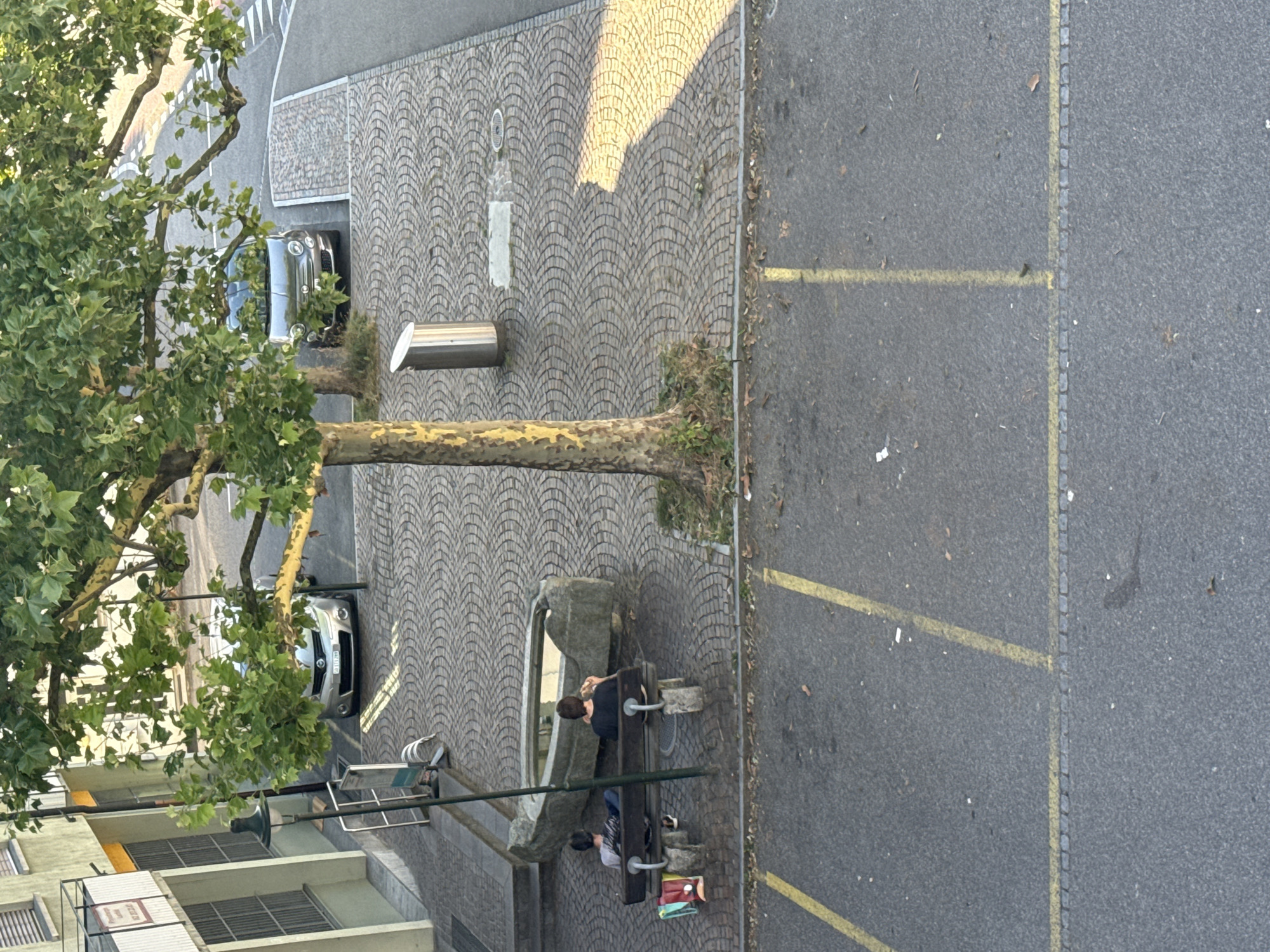 An elevated, eye-level medium shot captures an outdoor urban scene on a sunny day in Trimbach, Switzerland. The foreground features an asphalt parking lot with yellow painted lines dividing parking spaces. Behind the parking lot, a paved area with cobblestone-like patterns leads to a sidewalk and building. A large tree with green leaves and a textured, light brown trunk stands prominently in the middle ground, casting a shadow on the cobblestone area. To the left of the tree, a stone fountain structure is visible. Two individuals are seated on a wooden bench positioned in front of the fountain. The person on the left is wearing a gray shirt and dark pants, while the person on the right wears a black shirt and dark pants and is holding what appears to be a sandwich. Bags are placed on the ground next to the bench on the left. A lamppost stands near the bench. In the background, a light-colored building with windows and a balcony is partially visible. Two cars are parked on the cobblestone area. One is a silver sedan, and the other is a dark gray compact car. A metal trash receptacle is situated near the tree on the cobblestone area. The scene is well-lit, with distinct shadows indicating the direction of sunlight.