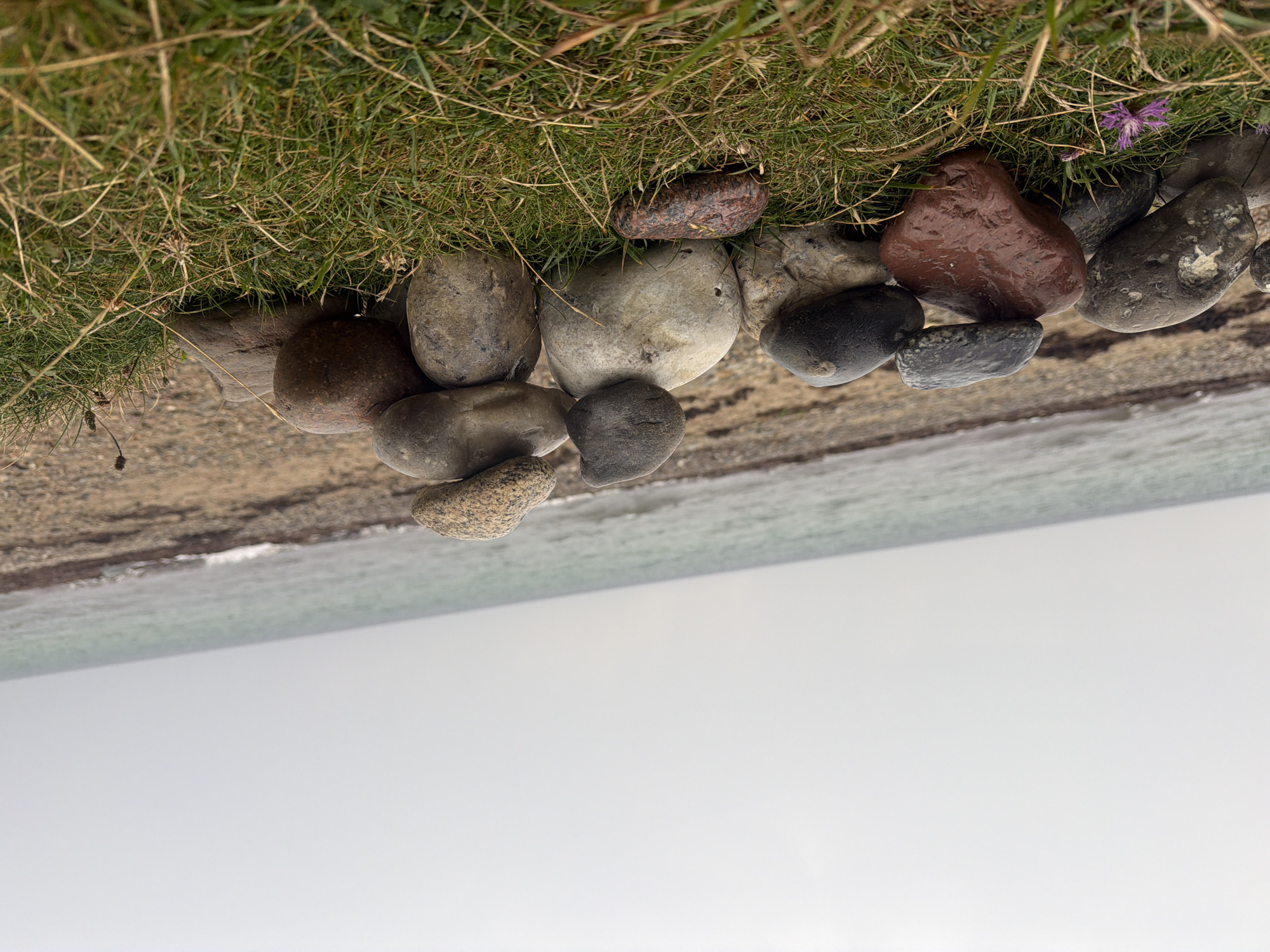 The image shows a stack of various smooth, rounded stones arranged on a grassy area near a beach in Gremersdorf, Germany. The stones are of different sizes, colors, and textures, with some appearing wet. The background consists of a beach with smaller pebbles and the sea, under an overcast sky. There is a single purple flower in the foreground on the grass. No people or animals are visible in the scene.
