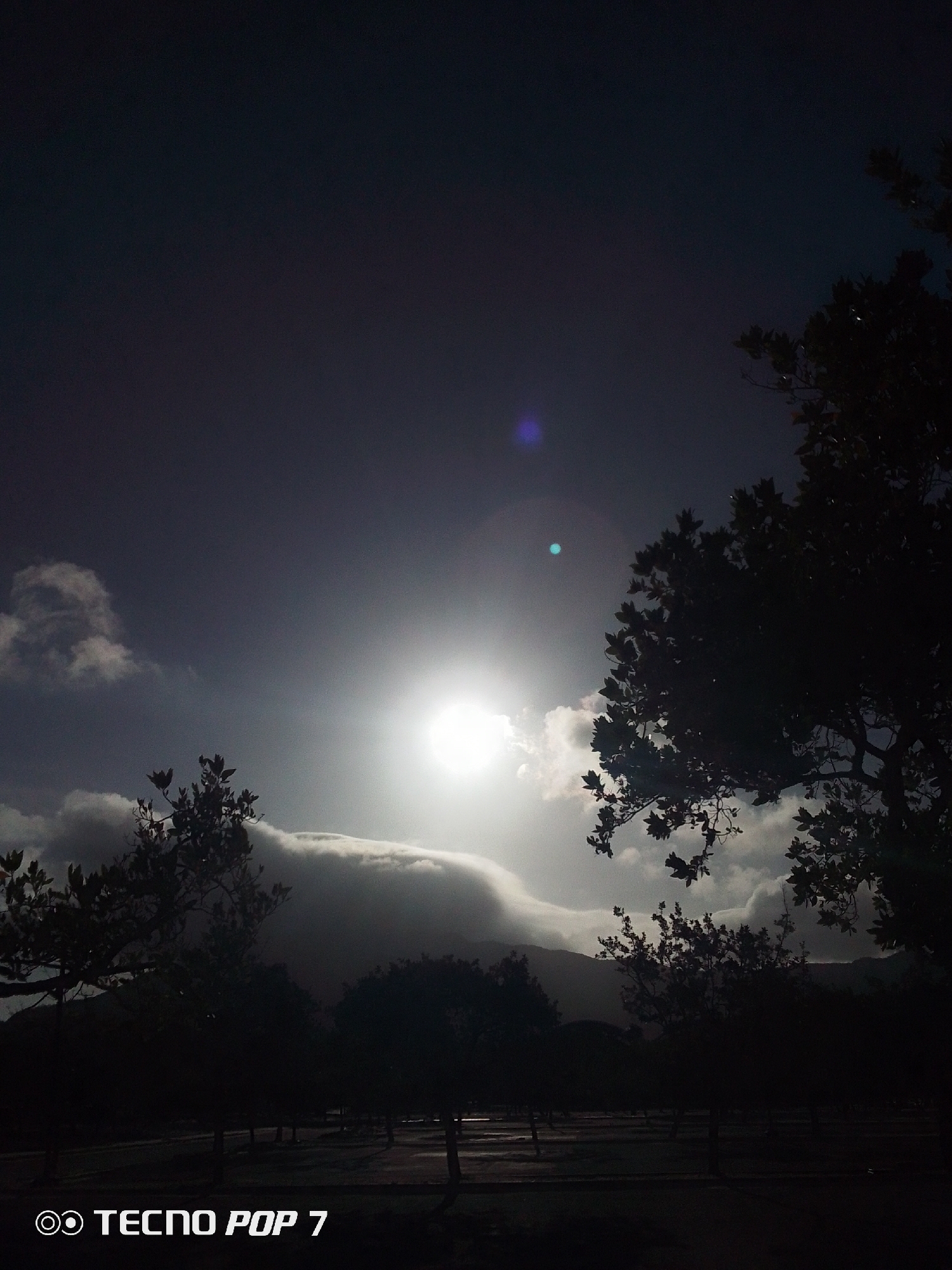 The image shows a low-angle view of the sky, partially obscured by silhouetted trees and foliage. A bright sun is positioned centrally in the sky, surrounded by clouds, some of which appear to be covering a distant land mass or mountains. A faint blue and purple lens flare are visible above the sun. The foreground is very dark, showing outlines of trees and possibly a fenced area. The image was likely taken in Pedro González, Venezuela, as there are similar photos that were taken there with the same mobile device.
