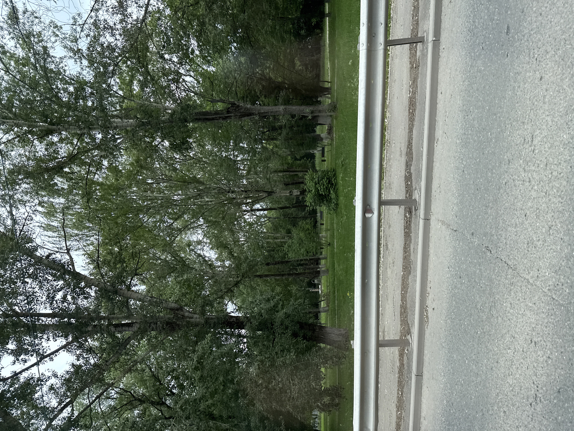 The image shows a view of a park with tall trees and green grass, separated from a road by a metal guardrail. The road surface is asphalt with visible cracks. The guardrail is silver and supported by metal posts. Beyond the guardrail, the park is lush with vegetation and appears to be a public space, possibly a park or a recreational area. The lighting suggests it is daytime, with overcast skies. The context of Perm, Russia, implies a temperate climate, consistent with the greenery depicted. There are no people or animals visible in the image. The scene is static and peaceful.