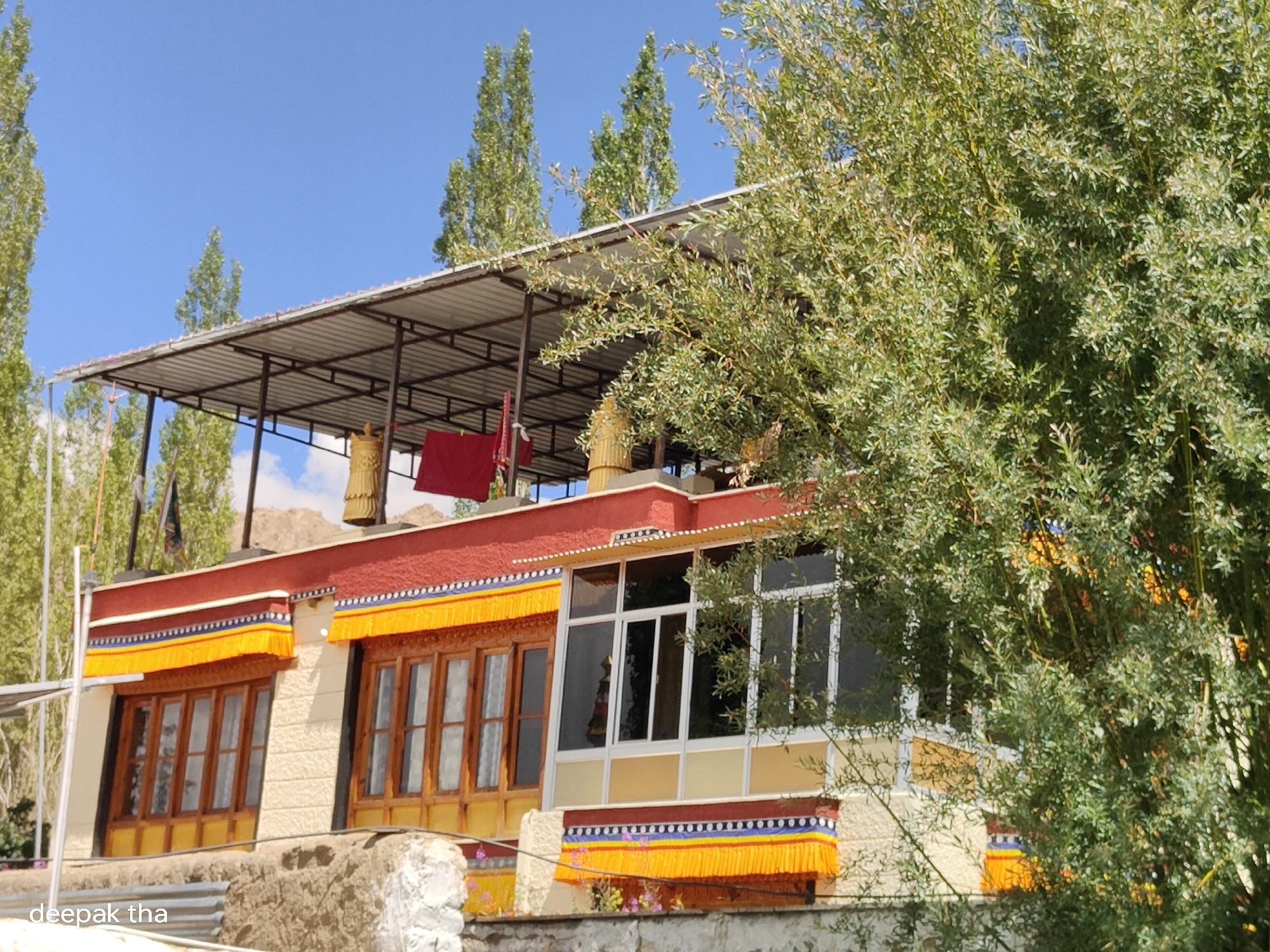 The image shows a building in Leh, India, with a traditional Tibetan architectural style. The building has a multi-colored facade with red, yellow, and white accents. There are several windows on the building, some with wooden frames and others with modern glass panels. A large tree with green foliage partially obscures the right side of the building. In the background, tall, slender trees with green leaves are visible against a clear blue sky. A metal roof structure extends over part of the building. The building appears to be a guesthouse or a monastery, given its distinct architectural features and decorative elements.