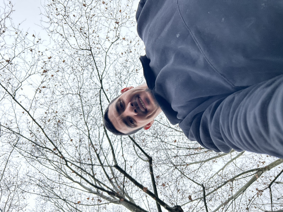 The image depicts an adult male captured in a low-angle perspective against a backdrop of bare tree branches and an overcast sky, located in Schiltigheim, France. The male, positioned in the lower half of the frame, has dark, short hair and light facial stubble. He is smiling, showing teeth and exhibiting prominent dimples. He wears a dark-colored, likely black, hooded sweatshirt. His right arm, extended downwards from his perspective, is partially visible in the lower right quadrant of the image, suggesting he is holding the camera. The upper two-thirds of the frame consists of a dense network of leafless deciduous tree branches, with a few sporadic brown leaves still clinging to some branches. The sky is uniformly light grey, indicating overcast conditions.