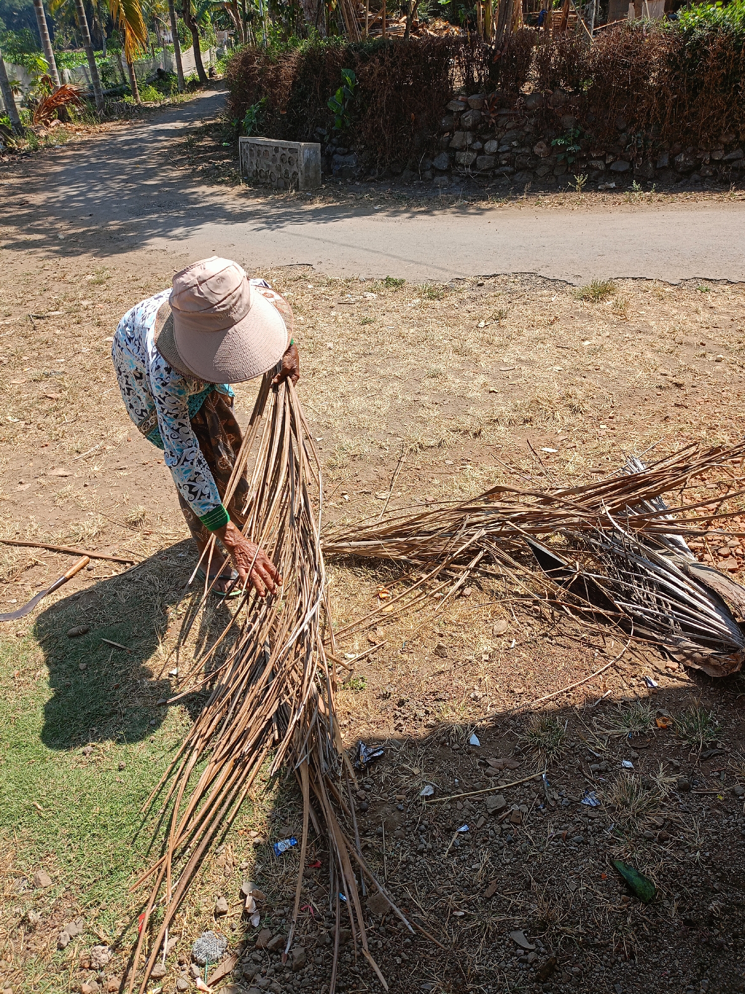 In the village of Jelbuk, Indonesia, a person wearing a wide-brimmed hat and a floral patterned shirt is shown gathering dry palm fronds. The individual is bending over, with their hands holding onto a bundle of the fronds, which are spread out on the dry, dirt ground. To the left of the person, a scythe or sickle is visible, lying on the grass. The background features a road, a stone wall, and various trees and vegetation. The scene appears to be outdoors, under bright sunlight, casting distinct shadows.