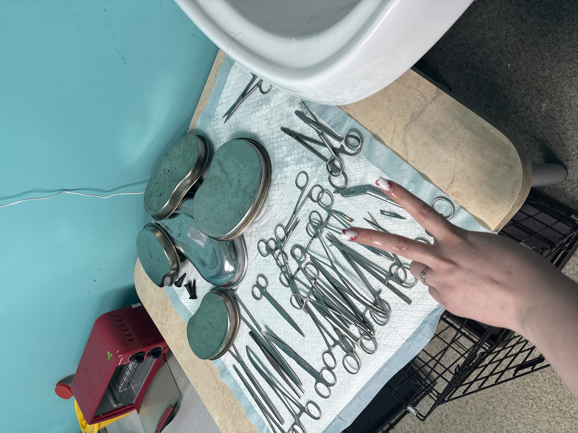 A high-angle shot displays a collection of medical instruments resting on a light-blue, absorbent surgical drape. The drape is laid out on a cream-colored surface, likely a table or counter. A white sink or basin is situated in the upper portion of the image. A set of metal kidney-shaped dishes are stacked on the left side of the drape. Surgical scissors and forceps are scattered across the drape. A hand, adorned with a ring on the ring finger, makes a "peace" or "victory" sign. A red toaster oven is partially visible in the lower-left corner. The room has a blue wall and the floor shows a gray carpet. There is a black wire cage partially in the lower right corner. The location is not discernible from the visual information provided.