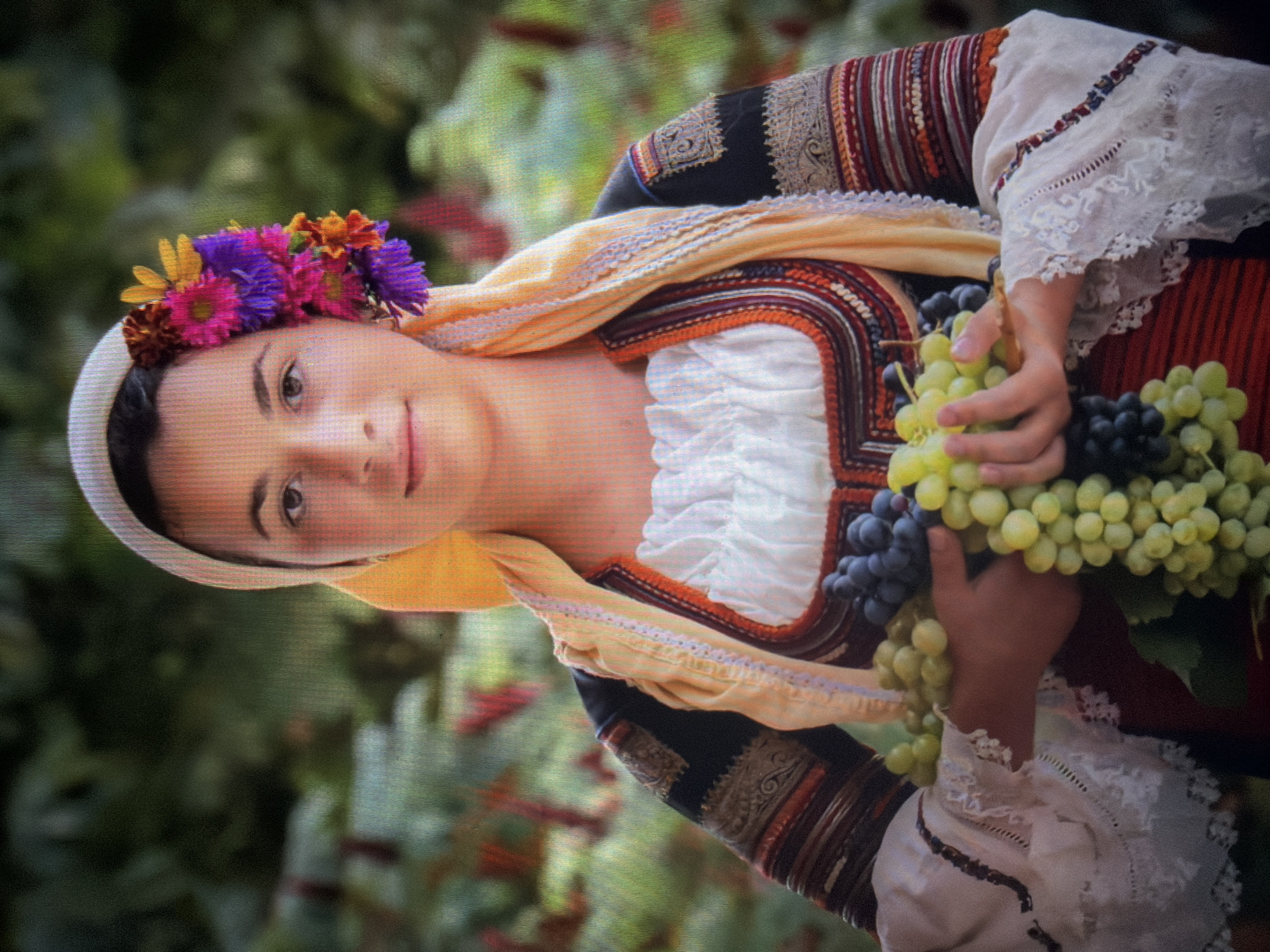 The image displays a young female individual situated outdoors in Shumen, Bulgaria. The subject, with dark hair and eyes, is positioned frontally, making direct eye contact with the viewer. She wears a white head covering with a light yellow draped scarf, framing her face and neck. An arrangement of artificial flowers, including yellow, fuchsia, purple, and orange blooms, is affixed to the right side of her head. Her attire consists of a white blouse with a gathered neckline and long sleeves, featuring white lace cuffs with embroidered details. Over the blouse, she wears a garment with a prominent red and orange embroidered border around the neckline. The sleeves of this garment are dark-colored with intricate gold and brown patterns and horizontal red and orange striped elements on the lower arms. The subject holds multiple bunches of grapes, encompassing both light green and dark purple varieties, in her hands. The background is an out-of-focus natural environment dominated by green foliage, with blurred hints of reddish-brown plant matter visible behind the subject.