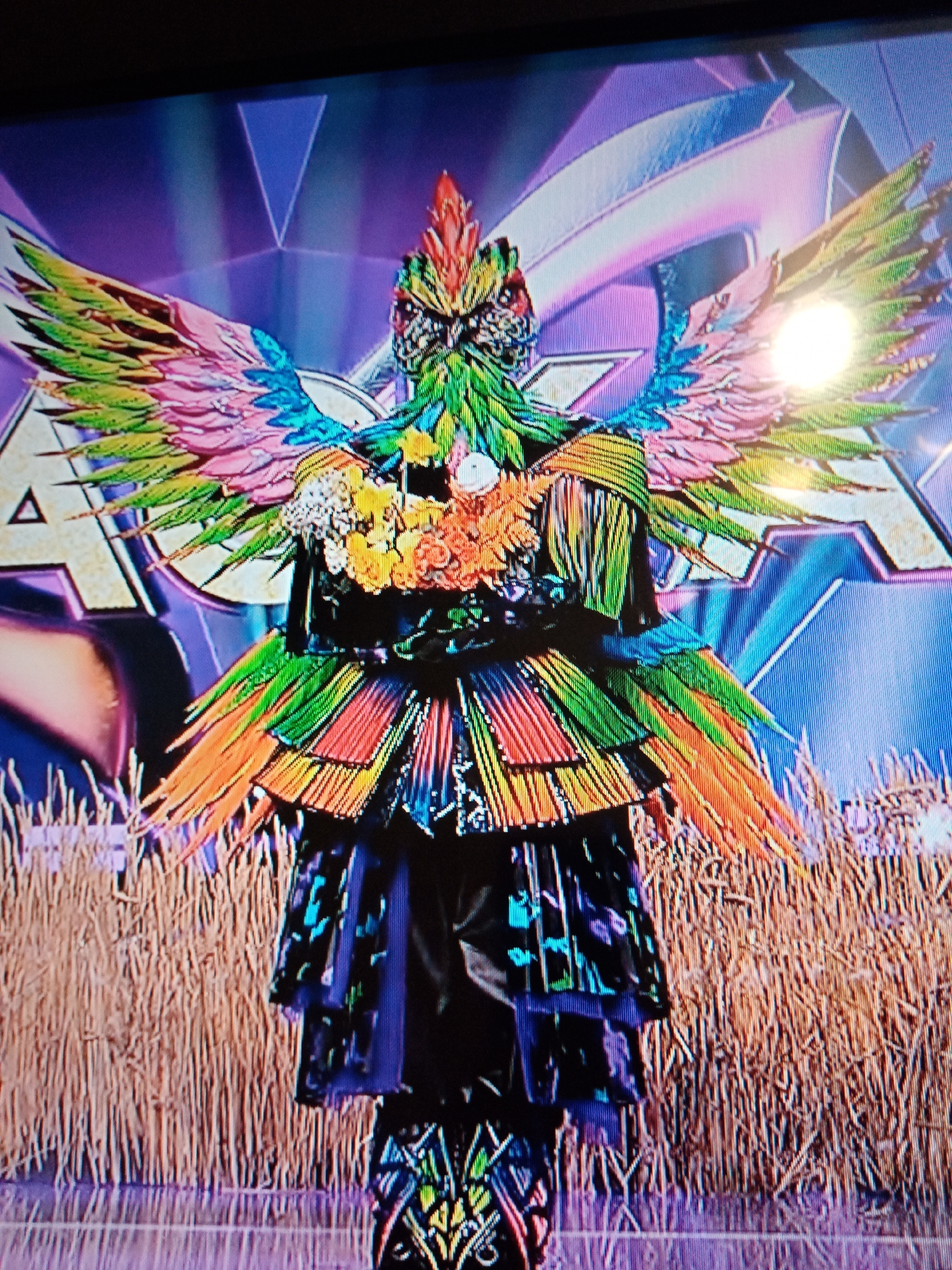 The image shows a figure in an elaborate, colorful bird costume standing on a stage. The costume has large, multicolored wings and feathered layers. The background includes abstract shapes, lights, and possibly a logo. The location cannot be determined from the image, and there is no indication it is in Elektrostal, Russia.