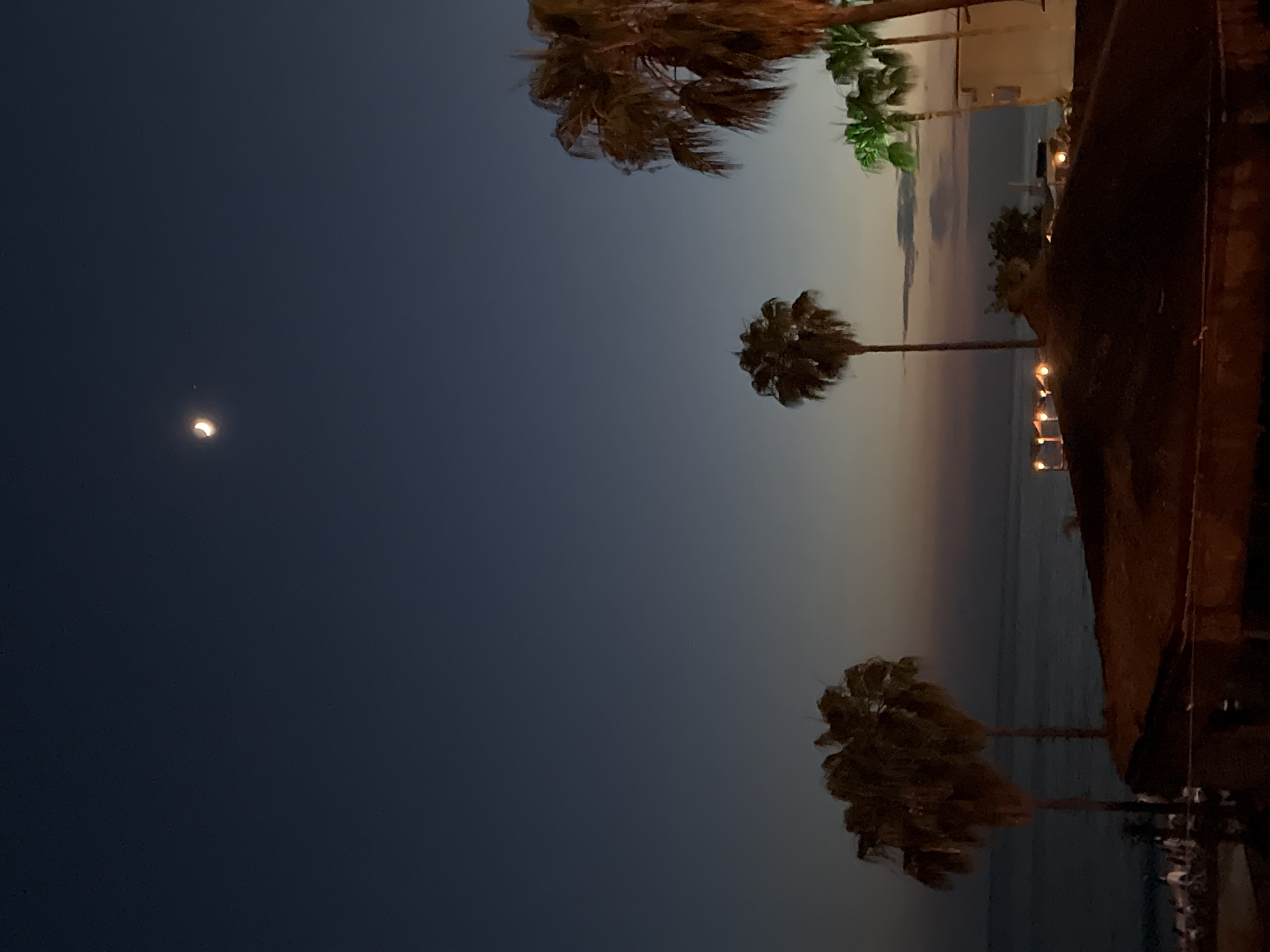 A twilight scene depicts the sky over Alanya, Turkey. The sky is a deep, dark blue, transitioning to lighter shades of gray and orange near the horizon. A sliver of a crescent moon is visible in the upper portion of the frame, accompanied by a small, bright star. Silhouetted palm trees are scattered across the foreground and middle ground. The palm trees on the right are taller and more defined, with some lights visible on a structure behind them. To the left, two shorter, fuller palm trees stand near the water's edge. The water appears calm. In the distance, along the shoreline, there are hints of buildings and lights, suggesting a developed area. The overall atmosphere is serene and dusky.