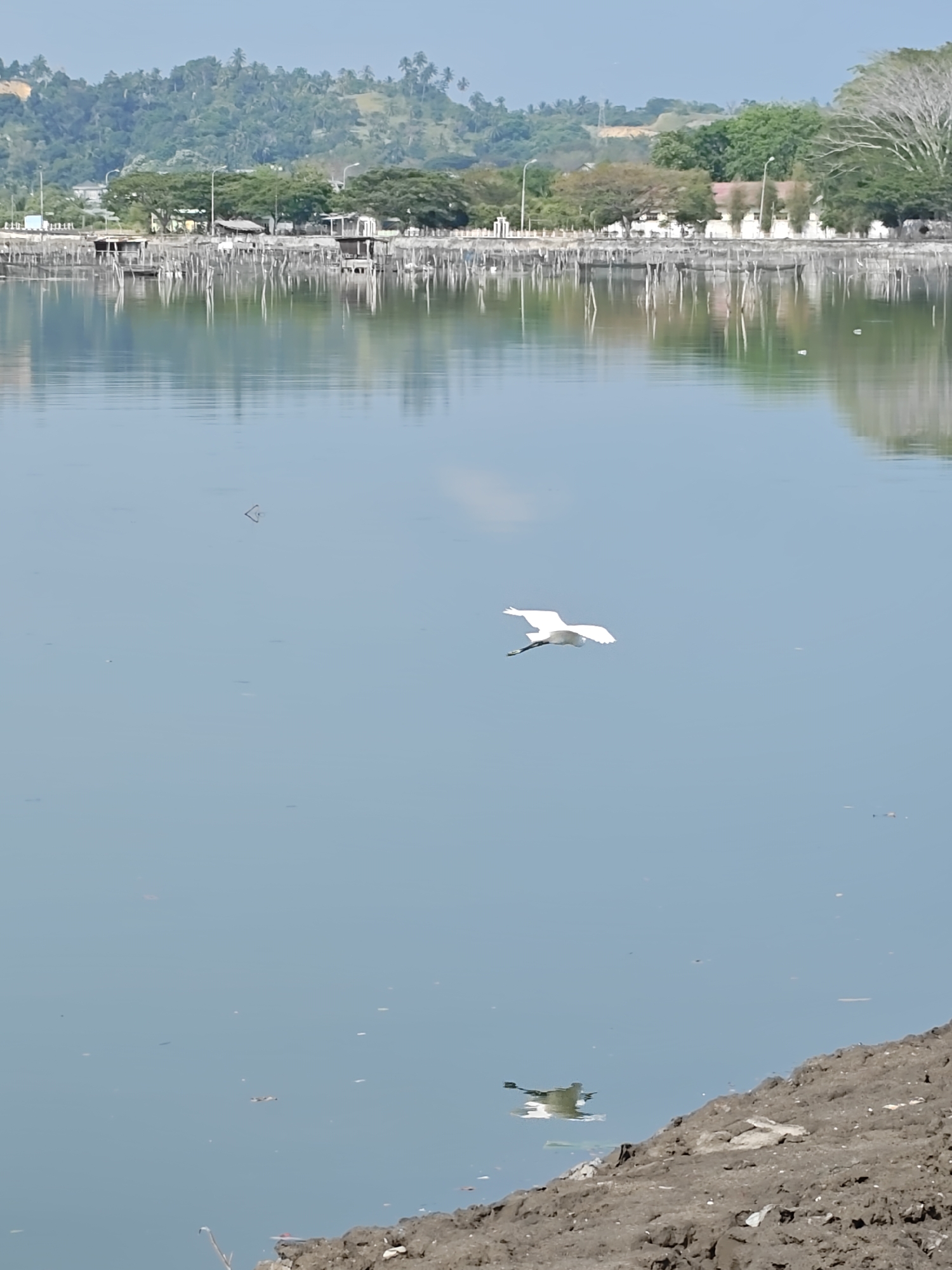 The image depicts a white bird in flight over a body of water. The water reflects the sky and some nearby structures, including a series of buildings and wooden structures. The shoreline is visible in the foreground, with a bank of dark soil. The location is in Lhokseumawe, Indonesia. In the background, there is a hill covered with trees.