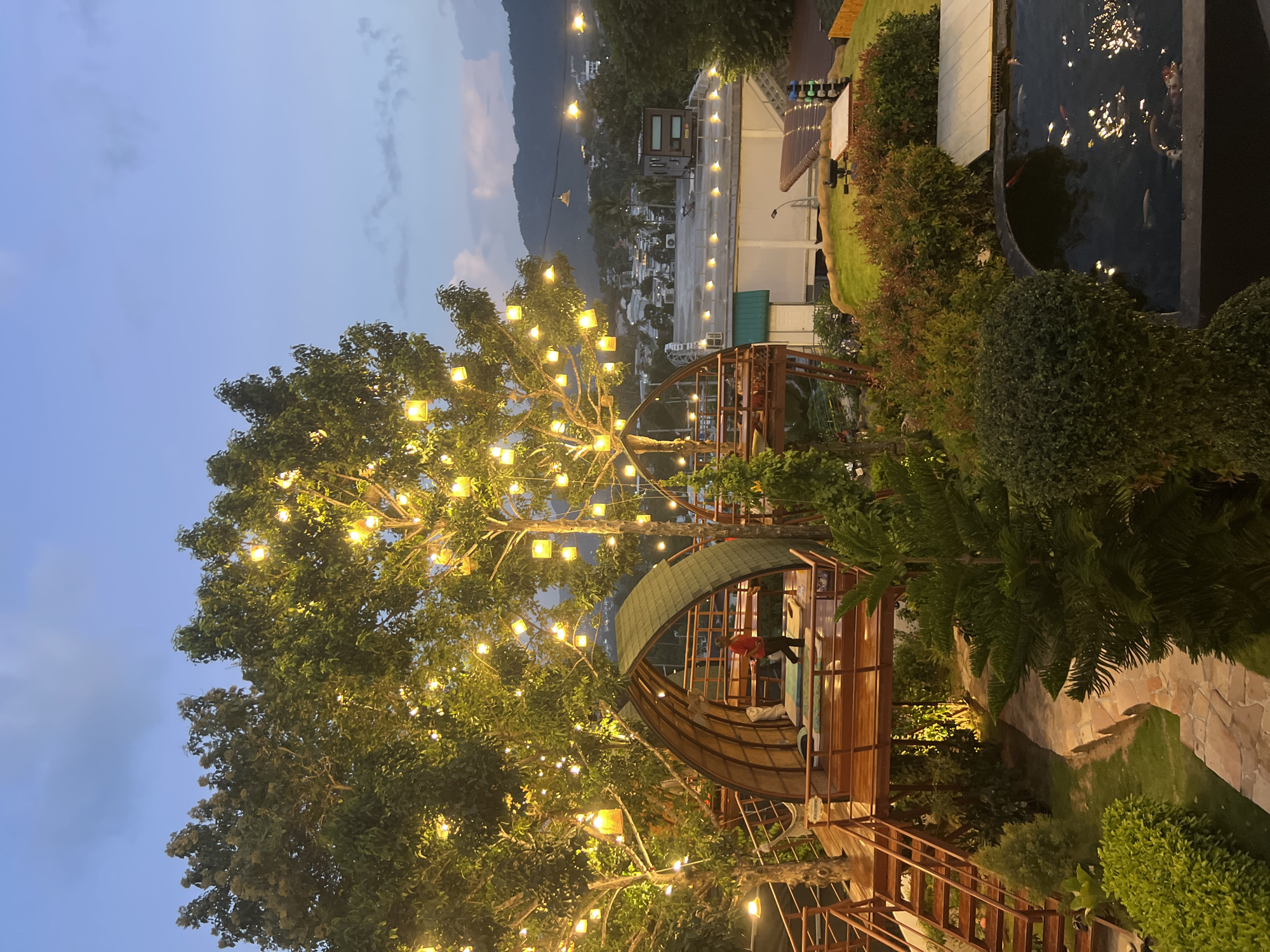 This image depicts an outdoor seating area at dusk, likely a restaurant or cafe, situated in a lush, elevated location in Ko Samui District, Thailand. The scene is dominated by large trees adorned with numerous small, square, yellow lanterns, creating a warm and inviting ambiance.
In the foreground, a unique, curved structure resembling a wooden pod or amphitheater is nestled within the trees. It features a wooden deck with comfortable seating, including cushions and a hammock. A person wearing a red shirt and dark pants is standing inside this structure, appearing to be walking or attending to something. Wooden stairs lead up to this deck from a pathway below.
The background reveals a sprawling view of a town or city, characterized by buildings with white walls and flat roofs, interspersed with greenery. The town extends towards rolling hills or mountains in the distance. A rooftop area with more yellow lights is visible on one of the buildings, and a koi pond with several fish swimming in it is situated in the lower right portion of the image. The sky is a twilight blue with subtle clouds, indicating the transition from day to night. The overall impression is one of a serene and picturesque evening setting in a tropical environment.