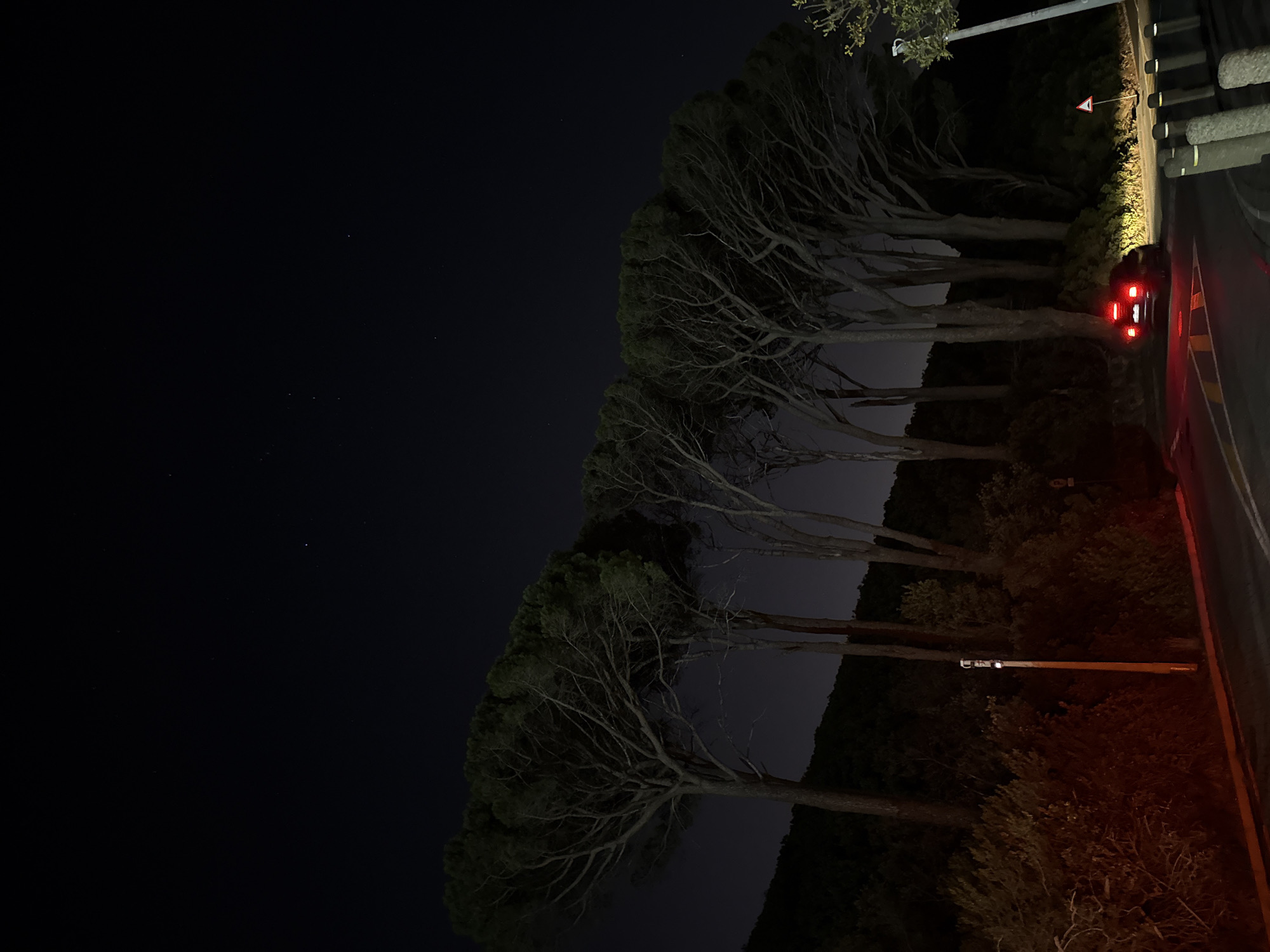 At night, a row of trees lines a road in Cape Town, South Africa. A car with illuminated red tail lights is parked on the side of the road near a road sign. The sky is dark with a few visible stars. Low vegetation and other trees are also present alongside the road.