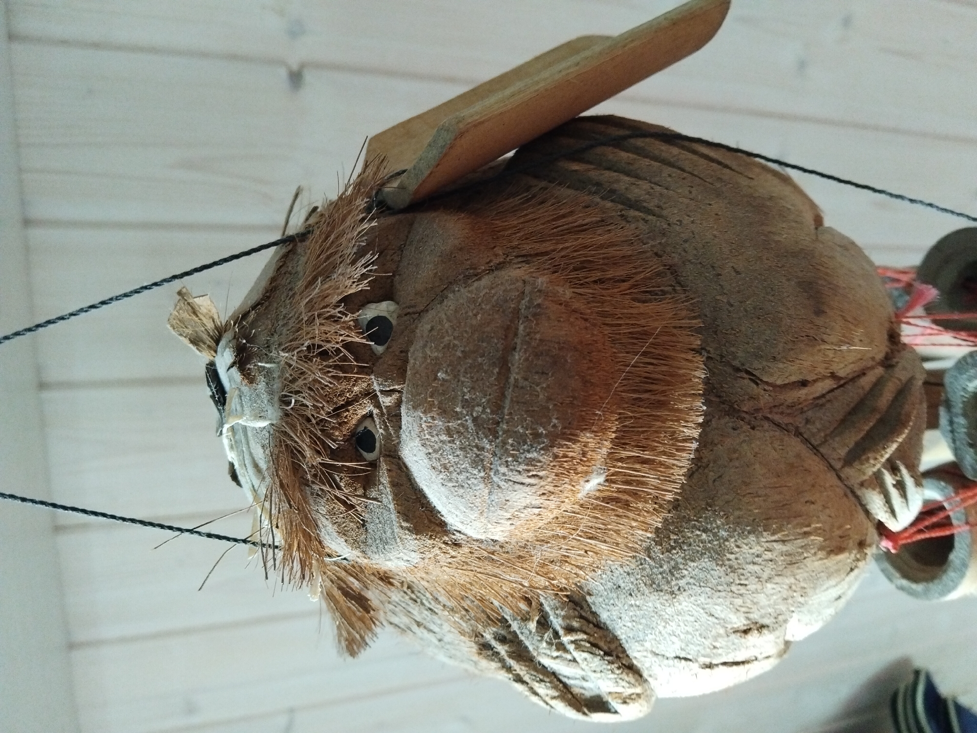 An outdoor decorative object, possibly a wind chime or garden ornament, made from a carved coconut shell is suspended by a thin black string against a background of pale wood-paneled walls. The object depicts a whimsical creature with a large, round head, resembling a monkey or a troll. Its face features small, black, bead-like eyes, a wide, expressive mouth covered with coarse, brown, straw-like material that simulates a beard or mane, and a prominent nose. The top of its head is adorned with similar straw-like material, and a small piece of light-colored wood juts out from its right side, possibly representing an ear or decoration. The coconut shell body is carved with textured details, including what appear to be ridges on the side of its head. The overall color palette is earthy, dominated by browns and beiges from the coconut shell and straw. The object is viewed from a slightly upward angle, with the lower part of the ornament partially obscured by another element, suggesting it is part of a larger hanging structure. The scene lacks any specific identifying features that would place it within Kyiv, Ukraine, or any other specific city.