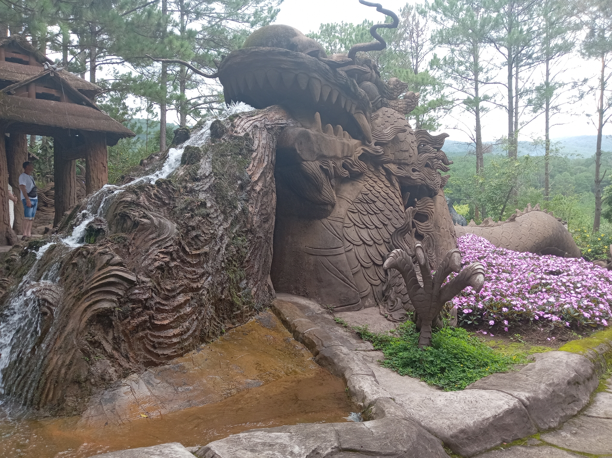 This is a full, eye-level, outdoor shot of a large, carved dragon sculpture with a waterfall feature. The dragon is a prominent, dark gray concrete or stone structure with intricate scales, sharp teeth, and a serpentine body. Water cascades down the side of the sculpture, creating a naturalistic effect that flows into a shallow, muddy pool at the base.
To the left of the dragon, a rustic, thatched-roof structure with wooden pillars is visible, resembling a traditional gazebo or pavilion. A person, wearing a white t-shirt and denim shorts, stands in front of this structure, looking towards the dragon.
In front of the dragon's body and to its right, a vibrant bed of small, pink flowers is densely planted. The ground surrounding the sculpture is paved with large, irregular stone slabs. Green foliage and moss are present around the base of the dragon and the rocky waterfall.
In the background, tall, slender pine trees dominate the landscape, with a misty, green mountain range visible in the distance. The sky is overcast, contributing to a soft, diffused light.
This sculpture is part of the Datanla Waterfall area, a popular tourist attraction in Da Lat, Vietnam, known for its natural beauty and adventure activities like the alpine coaster.