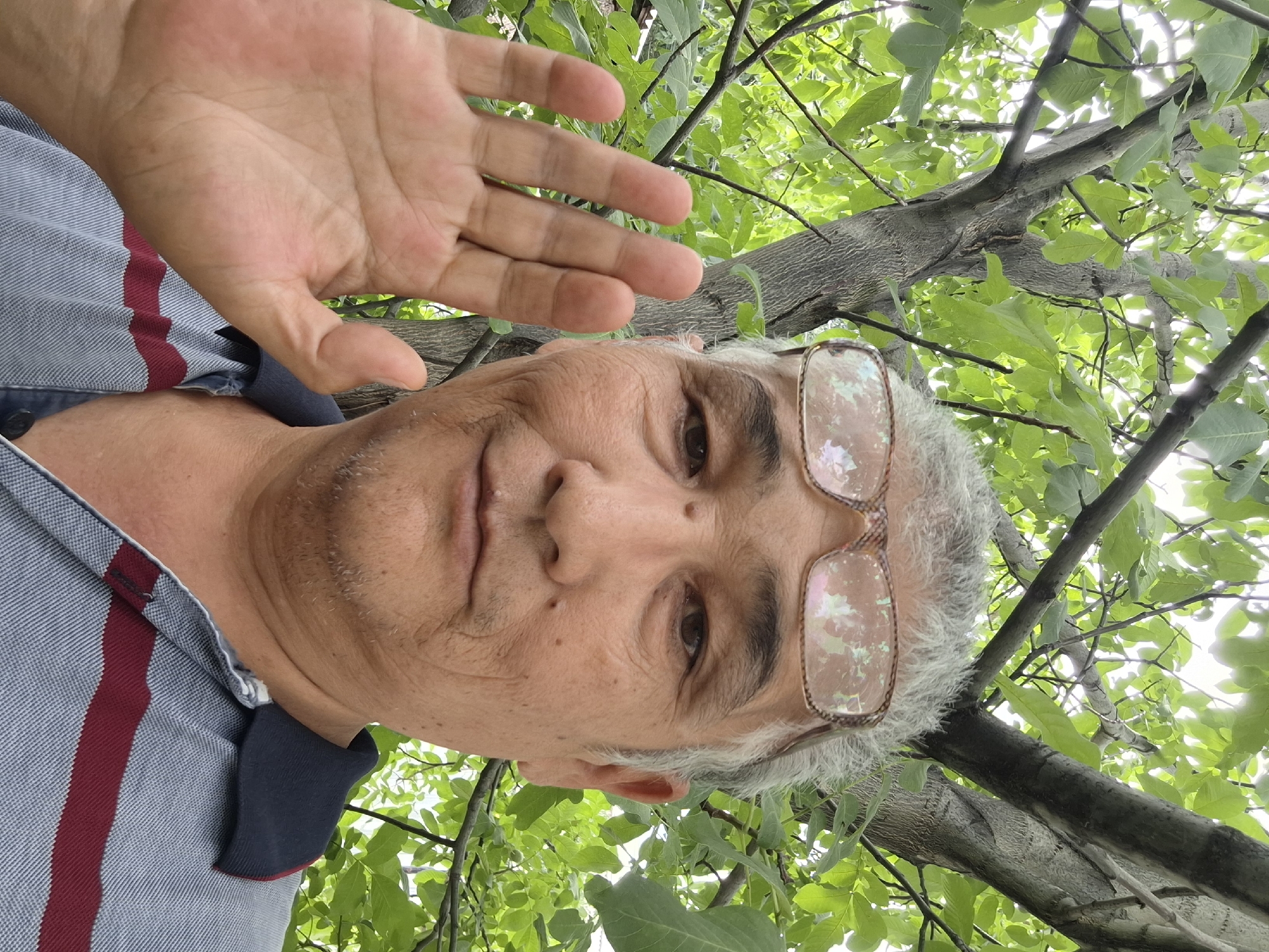 A middle-aged man with graying hair and glasses is taking a selfie outdoors. He is wearing a striped polo shirt. His right hand is raised in front of him, palm facing outward, as if waving. He is positioned in front of a large tree with lush green leaves. The lighting suggests it is daytime, with sunlight filtering through the foliage. The background is dominated by the tree and its branches, indicating a natural or park-like setting. The image does not provide specific information about the city of Almaty, Kazakhstan.
