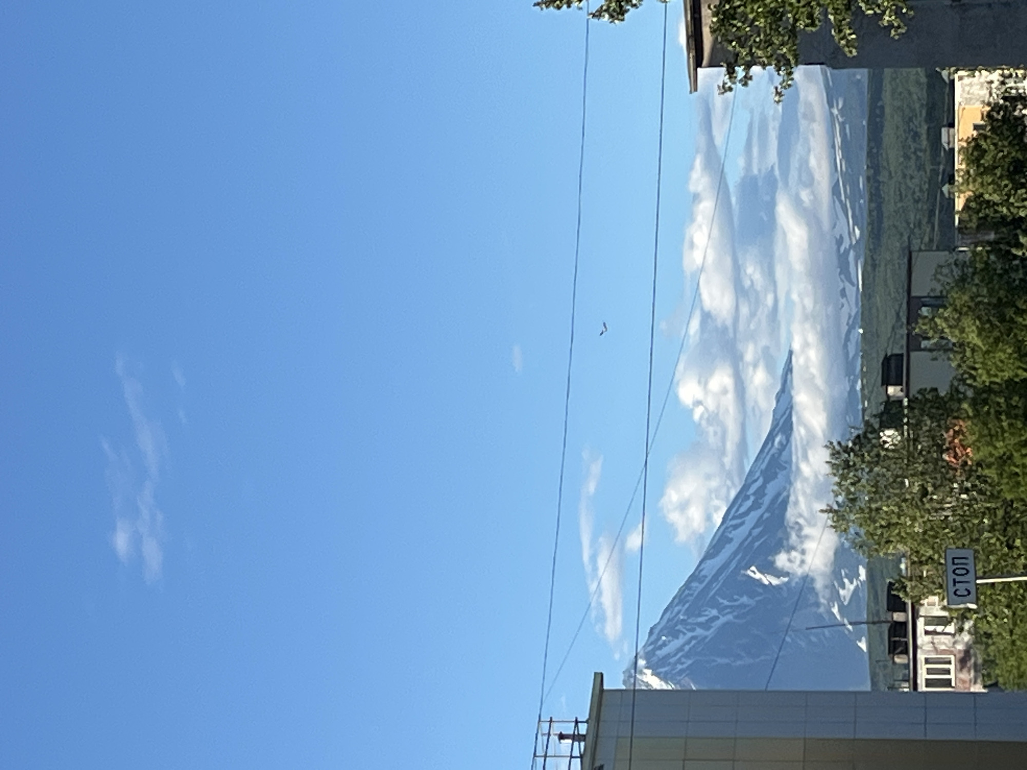 The image captures a view of the Koryaksky volcano in Petropavlovsk-Kamchatsky, Russia, on a clear day. The volcano, with its snow-capped peak, dominates the background, partially obscured by white clouds. In the foreground, elements of the city are visible: a building on the left with a railing on its roof, power lines stretching across the frame, and other structures and trees lower down. A signpost with the Russian word "СТОП" (STOP) is clearly visible among the greenery. A small bird is seen flying in the sky near the center of the image. The overall scene suggests an urban landscape set against a backdrop of natural, volcanic beauty.