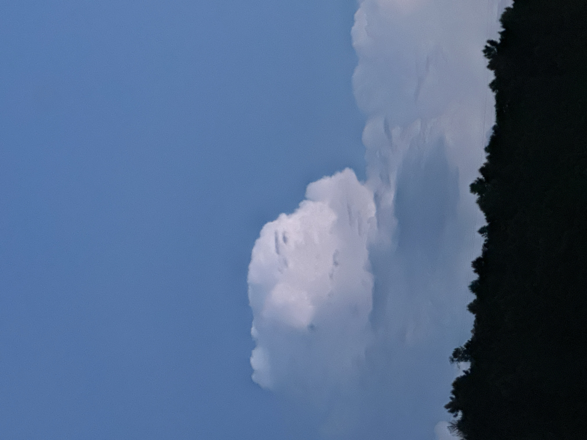 The image depicts a daytime sky, predominantly blue, with several white cumulus clouds. Along the right edge of the frame, dark silhouettes of trees are visible, possibly forming a forest edge. The photograph's location is Vila Real, Portugal, although there are no specific city-related landmarks or features visible in the image itself. The scene focuses primarily on the sky, clouds, and the natural landscape provided by the trees.