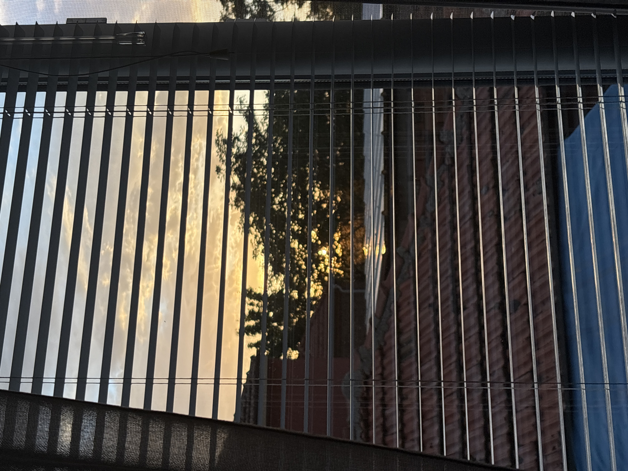 The image shows a view through a window with partially open Venetian blinds. Visible through the blinds is an outdoor scene with sky, clouds, a tree, and a building. The light suggests it's either sunrise or sunset. The blinds are a light color. The lower part of the image features a section of the window frame and mesh screen. It is not possible to determine a specific location in Manole, Bulgaria from the contents of this image.