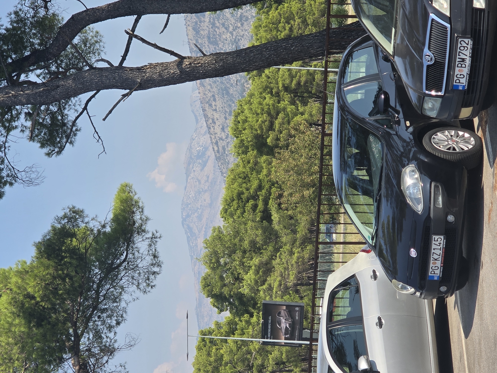The image depicts a sunny day in Podgorica, Montenegro, with a focus on parked cars in the foreground and a mountainous landscape in the background. Two cars are prominently visible: a black Fiat Punto with license plate PG KZ145, and to its right, the front of a dark Skoda Octavia with license plate PG BM792. To the left of the Fiat is a silver car, partially visible. Behind the cars, a dense green forest of trees lines a fence, beyond which a billboard advertising a Mercedes-Benz car is visible, placed near a lamppost. The distant background features a range of arid, rocky mountains under a clear blue sky with a few wispy clouds. Large pine trees with dark bark and green needles frame the upper portion of the image. The ground is a light-colored paved surface, likely a parking lot. There are no people visible in the scene.