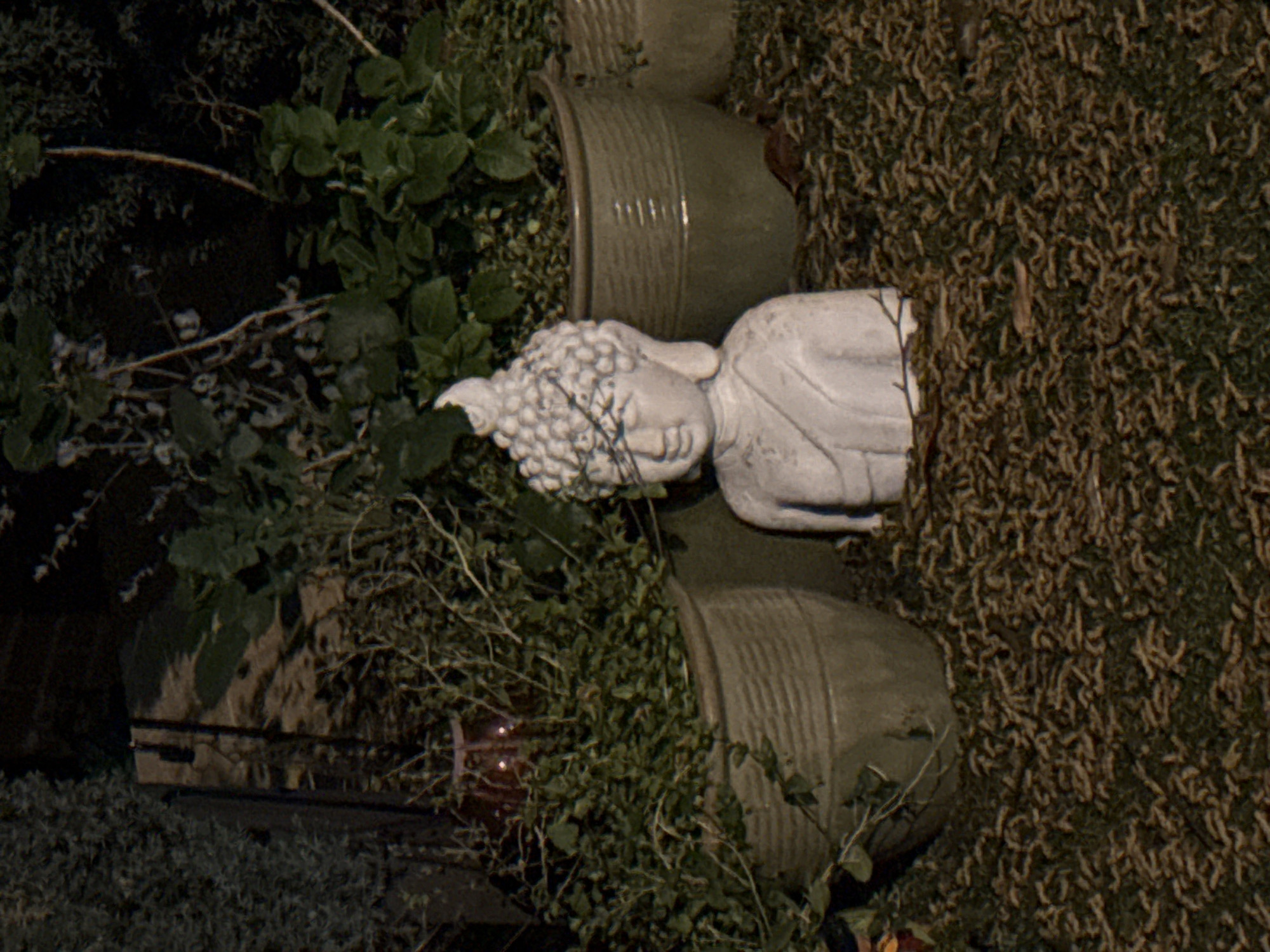 A photograph taken at night depicts a serene outdoor setting. A white, stone Buddha head rests among the greenery. Three weathered, green ceramic pots, stacked vertically, serve as planters. The base of the bottom pot is visible. To the left, dense foliage with dark green leaves spills around a structure, appearing to be a brick wall. To the right, what appears to be groundcover dominates, creating a backdrop of organic texture. The entire scene is illuminated by artificial light. Due to the lack of landmarks, the location in the city of London, United Kingdom, cannot be pinpointed.