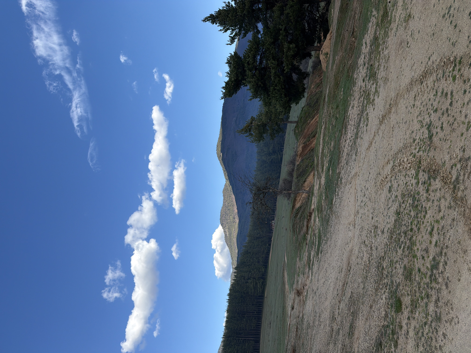 The image shows a landscape with a clear blue sky filled with white clouds. In the background, there is a mountain range partially covered with trees. A dense forest is present on the lower slopes of the mountains. In the foreground, there is a dirt area with sparse green vegetation. A few trees are situated on the edge of the dirt area. It's likely that the location is near Velingrad, Bulgaria, given the landscape characteristics. There are no people visible in the image.